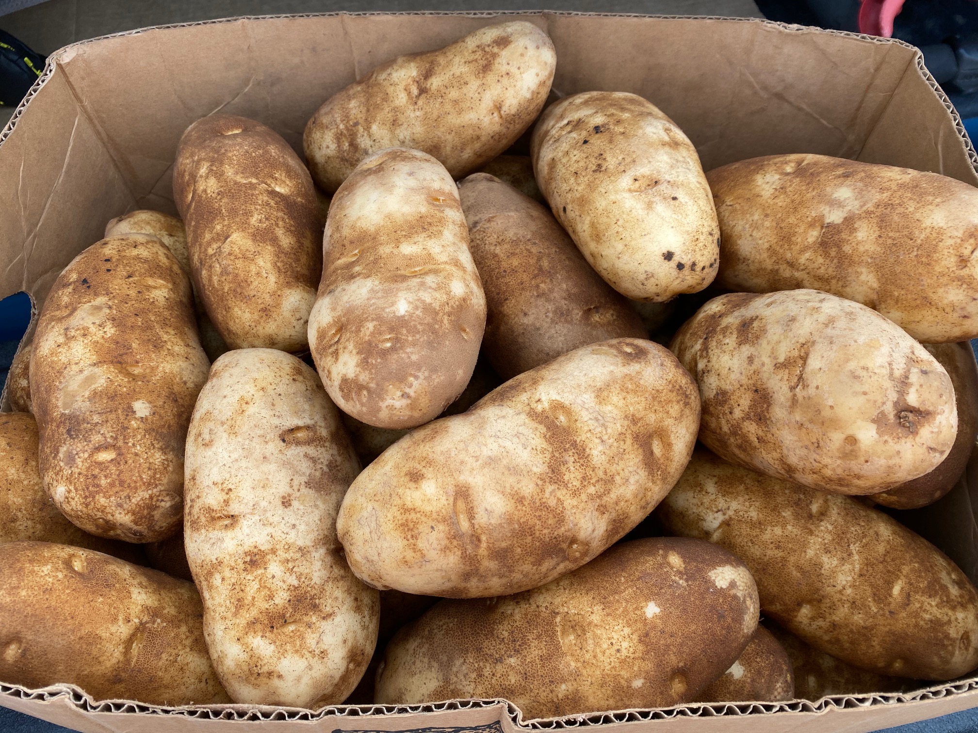 Pantry Item Lays ‘Hidden’ for Months—Family ‘Scared’ by What Emerges