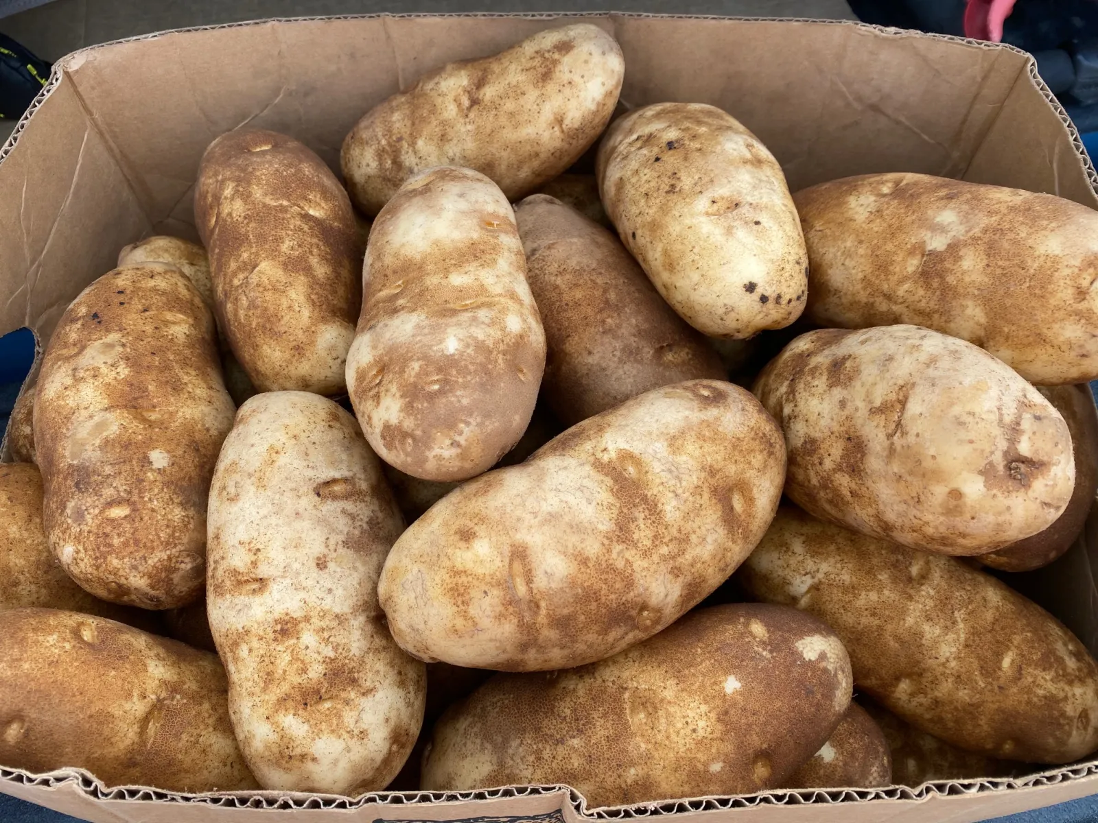 French Fry Perfume From Idaho