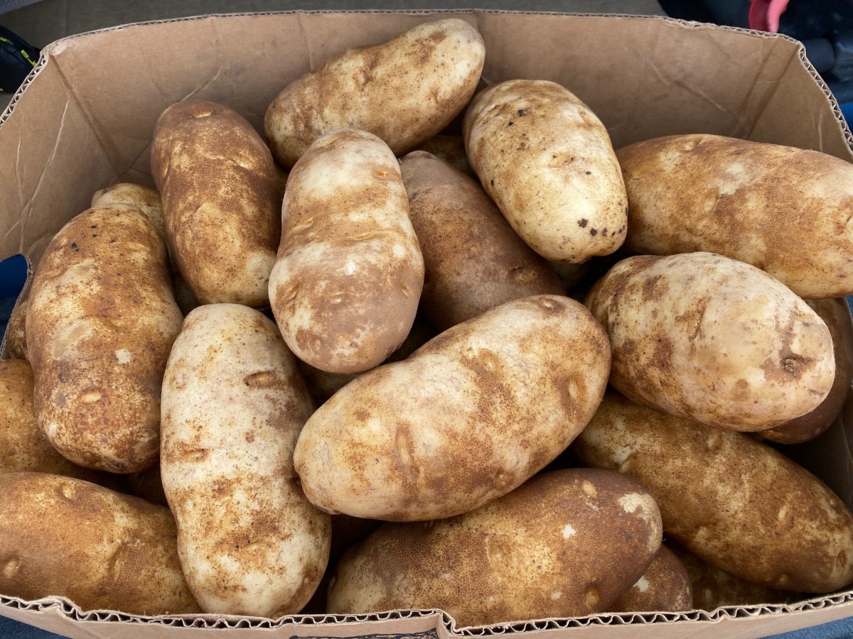 Pantry Item Lays &lsquo;Hidden&rsquo; for Months&mdash;Family &lsquo;Scared&rsquo; by What Emerges