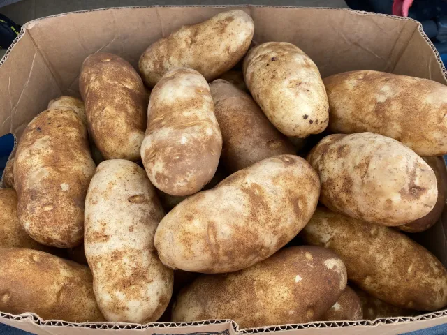 French Fry Perfume From Idaho