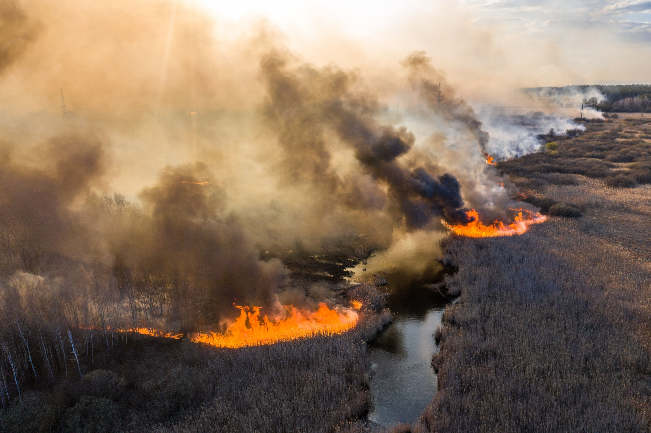 Horrific Footage of Russia Wildfires Shows Siberia Graveyard