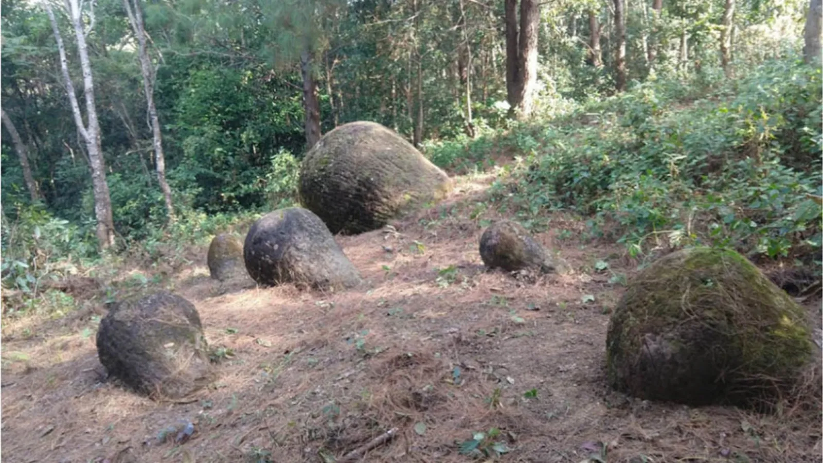 Forest Full of Mysterious, Prehistoric Giant Jars Discovered
