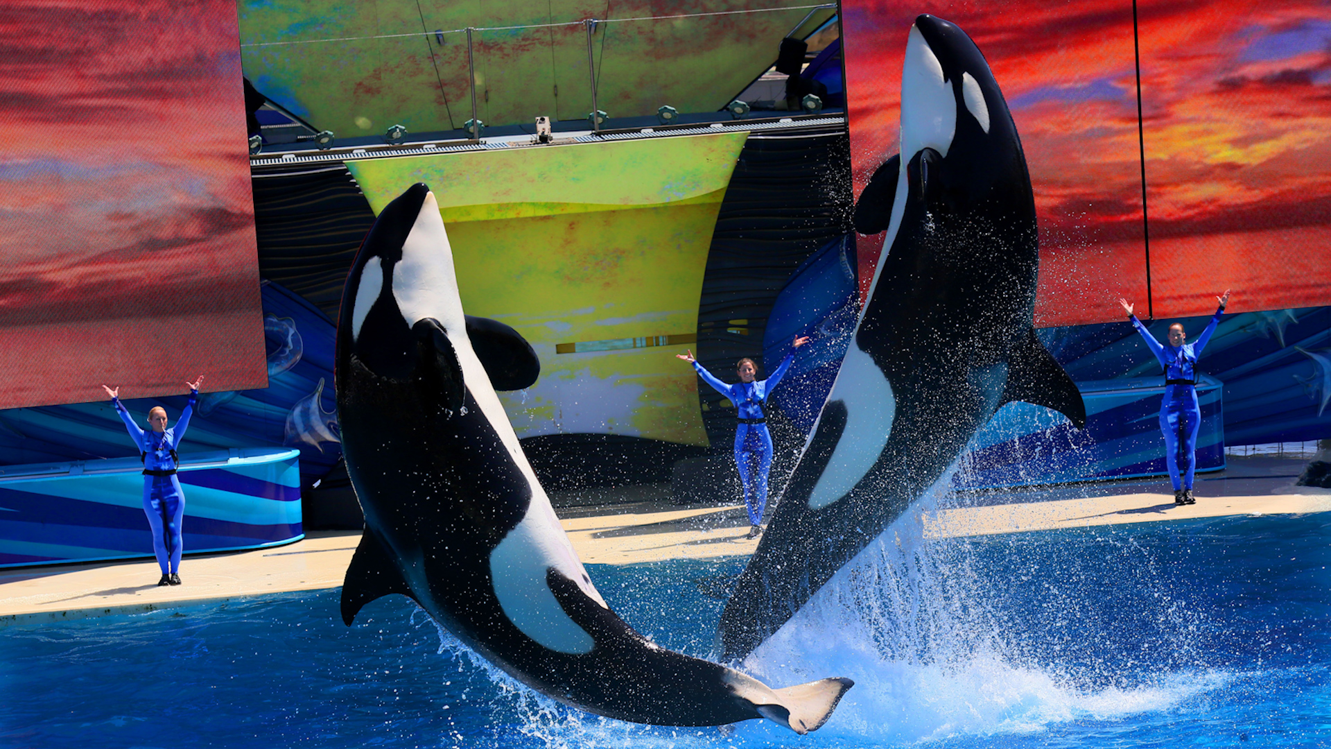 Rotten Tomatoes gọi tên Top 10 phim xuất sắc nhất năm 2025