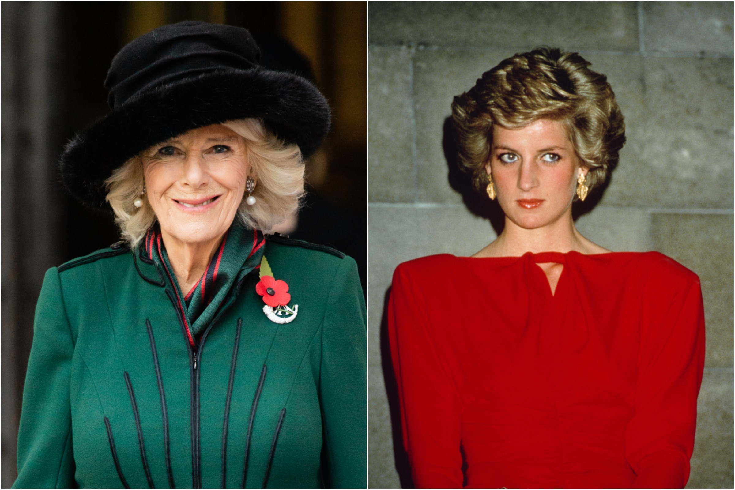 Camilla 'Felt Empathy' for Diana Due to Charles' 'Regimented' Routines -  Newsweek