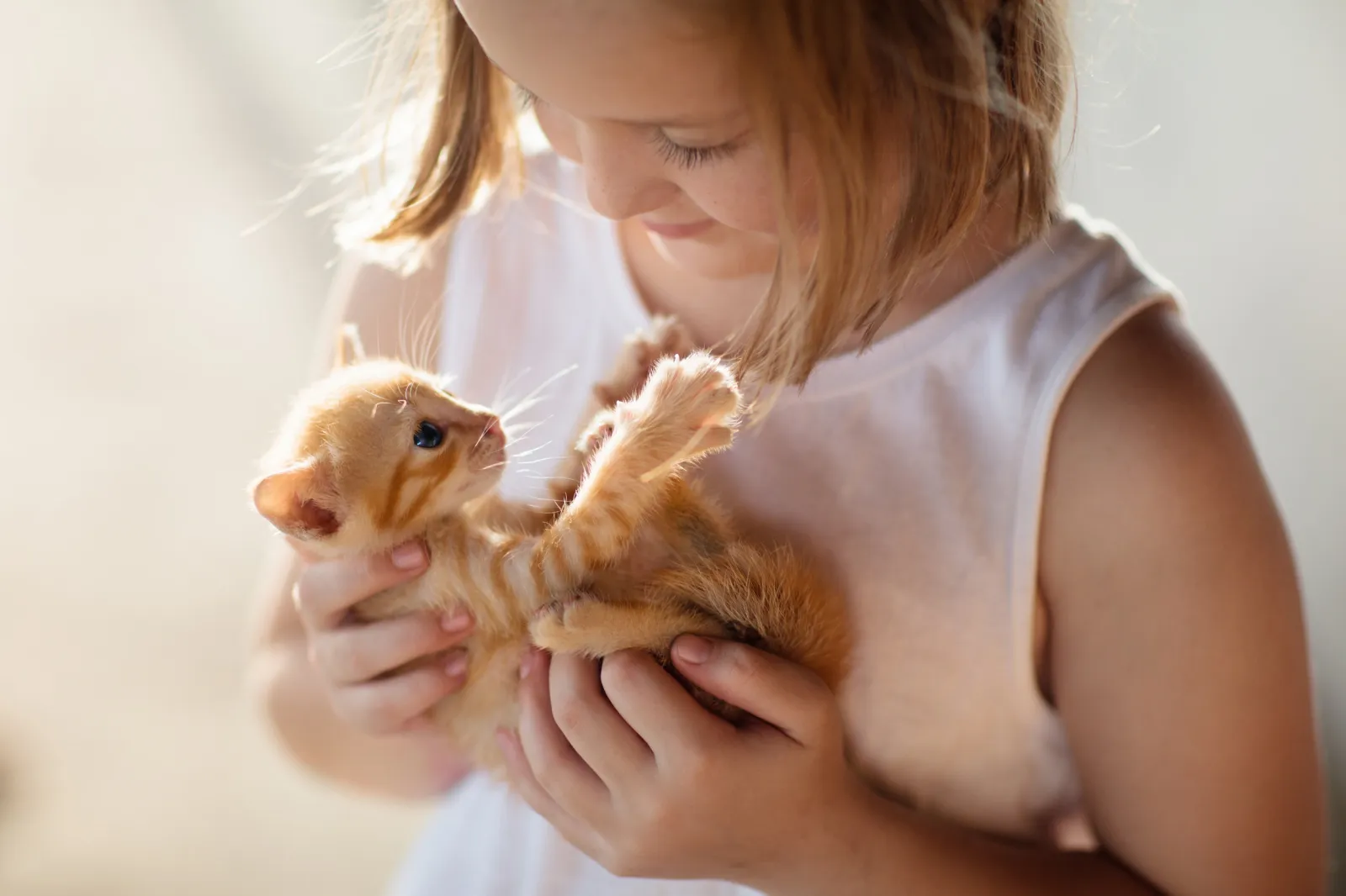 What Kitten to Get Your Child Depending on Their Personality