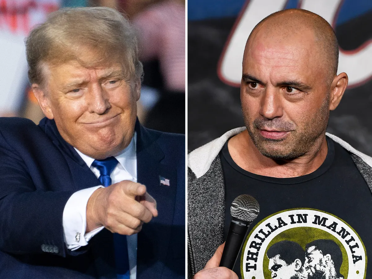 Joe Rogan Twitter Joe Rogan Urges Donald Trump to Return to Twitter, Mocks Truth Social ...
