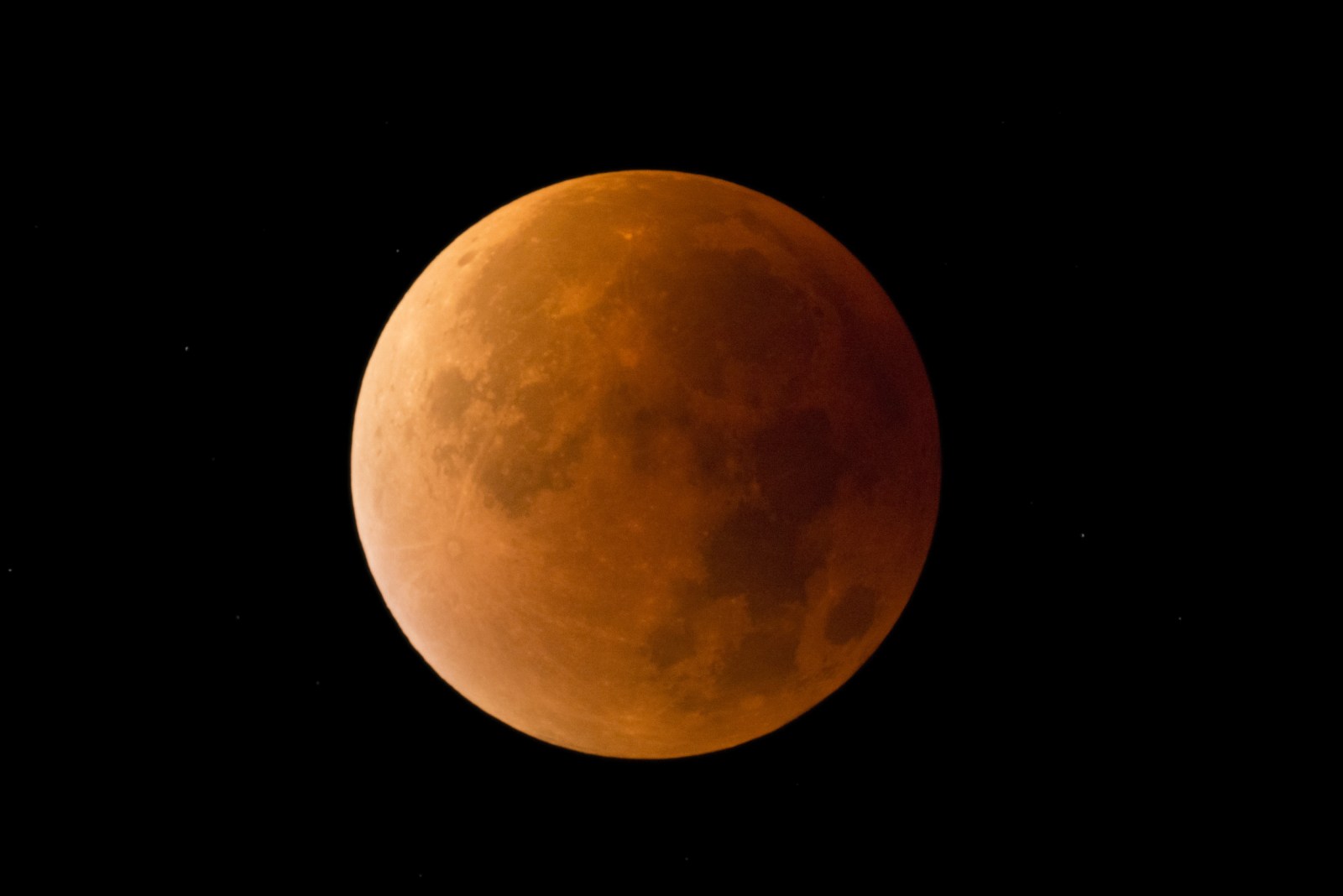 Lunar Eclipse of the May Full Moon to Light Night Sky in Stunning 