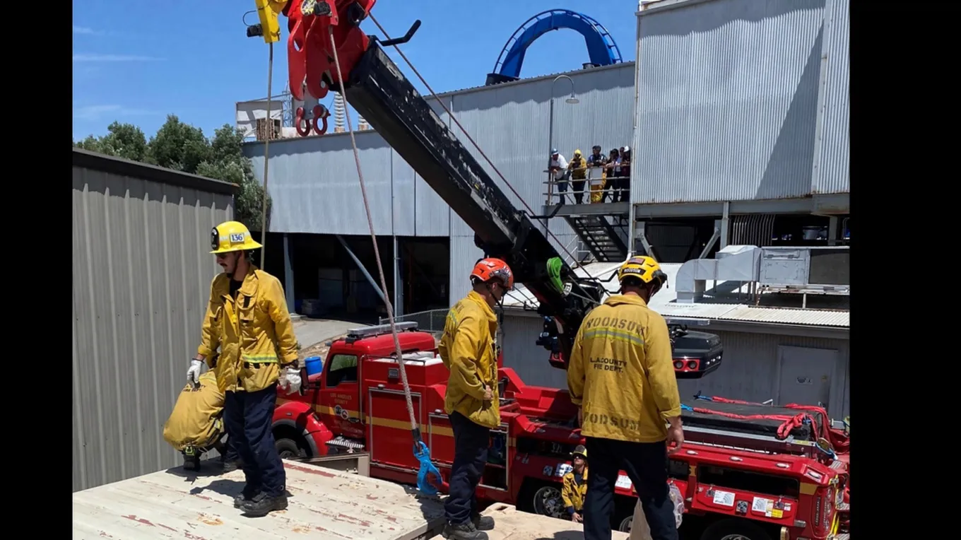 Firefighters Rescue Bear That Snuck Into Six Flags and Got Itself Stuck ...