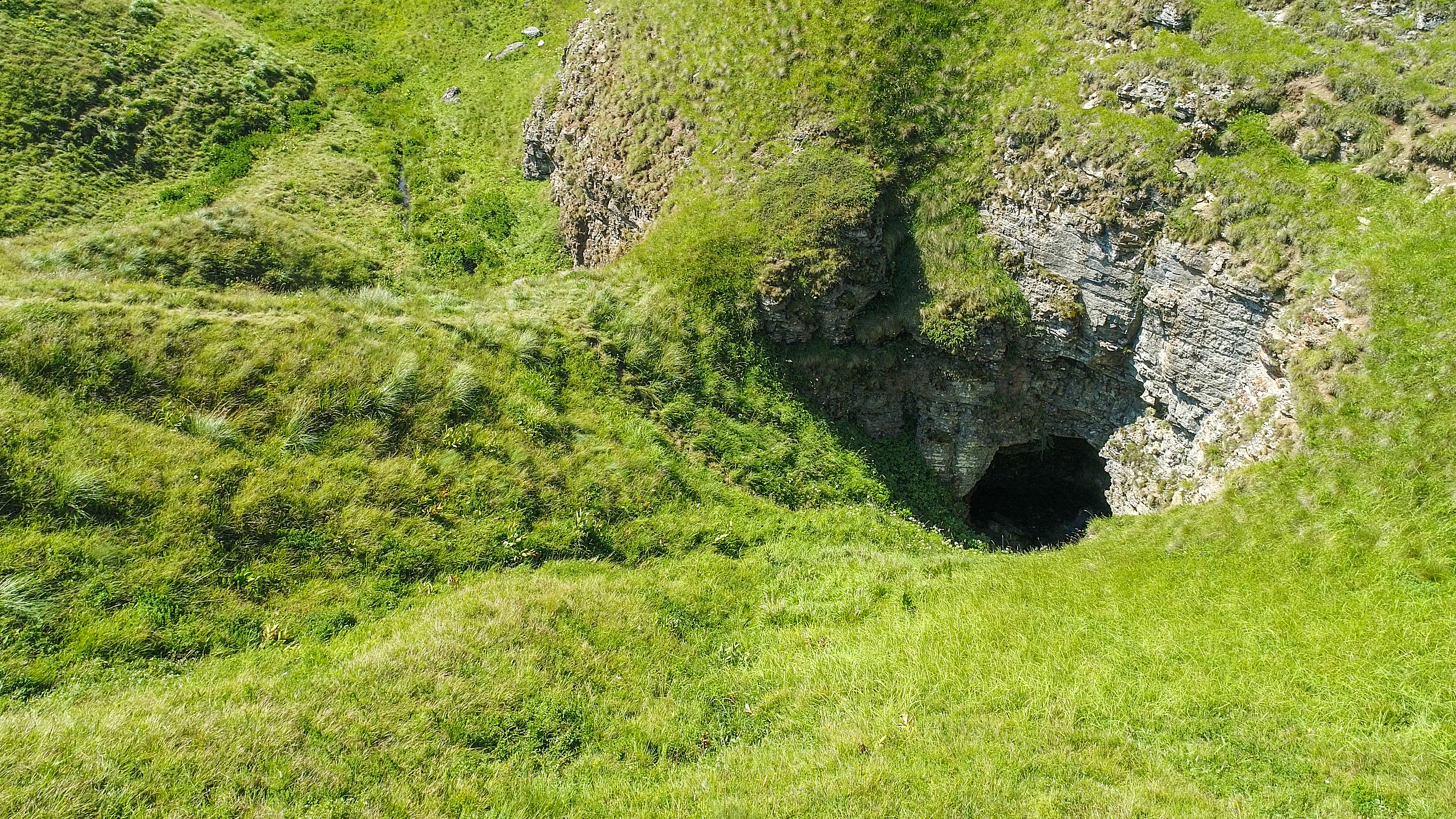 Enormous Sinkhole With Ancient Forest Inside Discovered in China