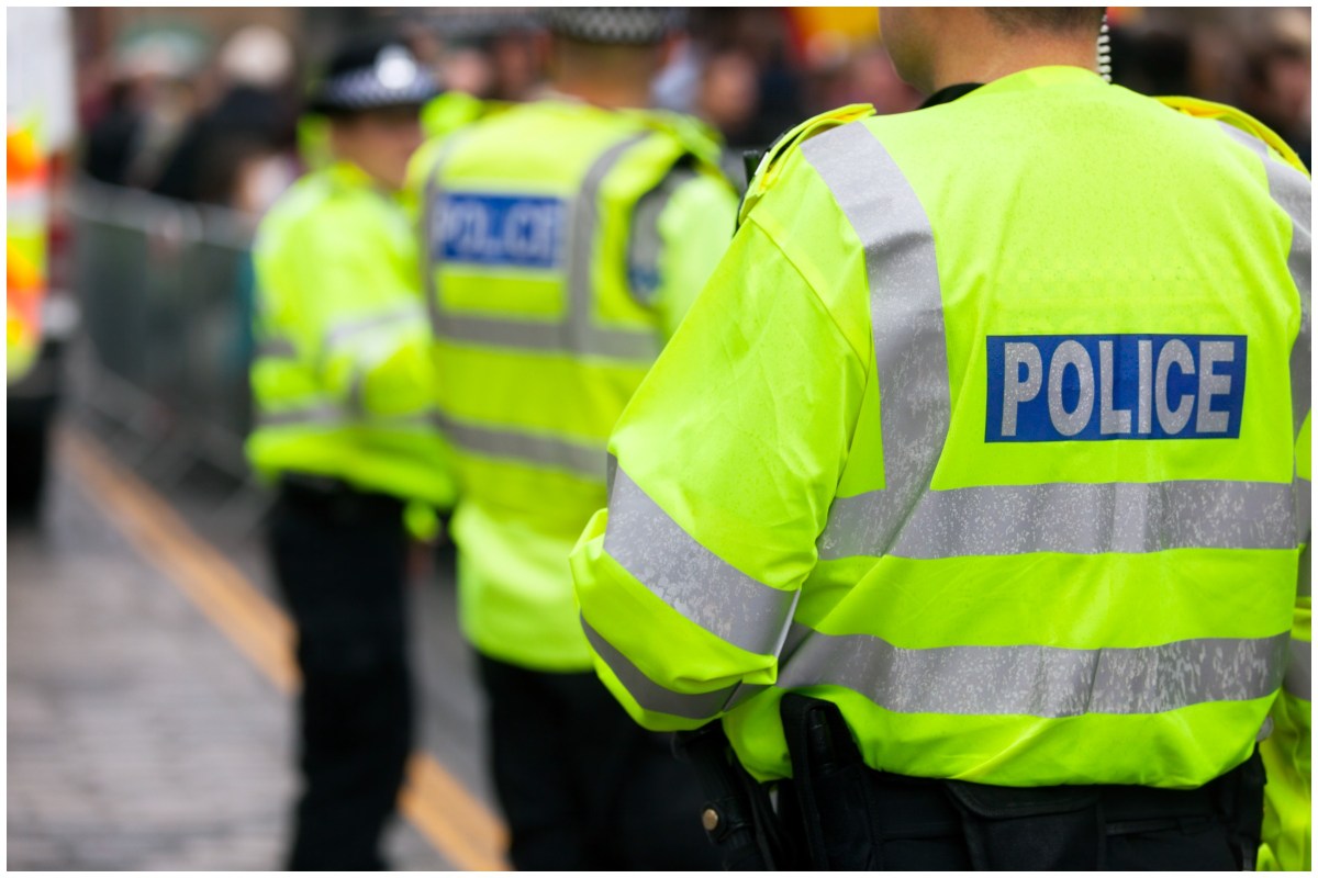 Toddler Killed in Suspected Dog Attack: Police - Newsweek