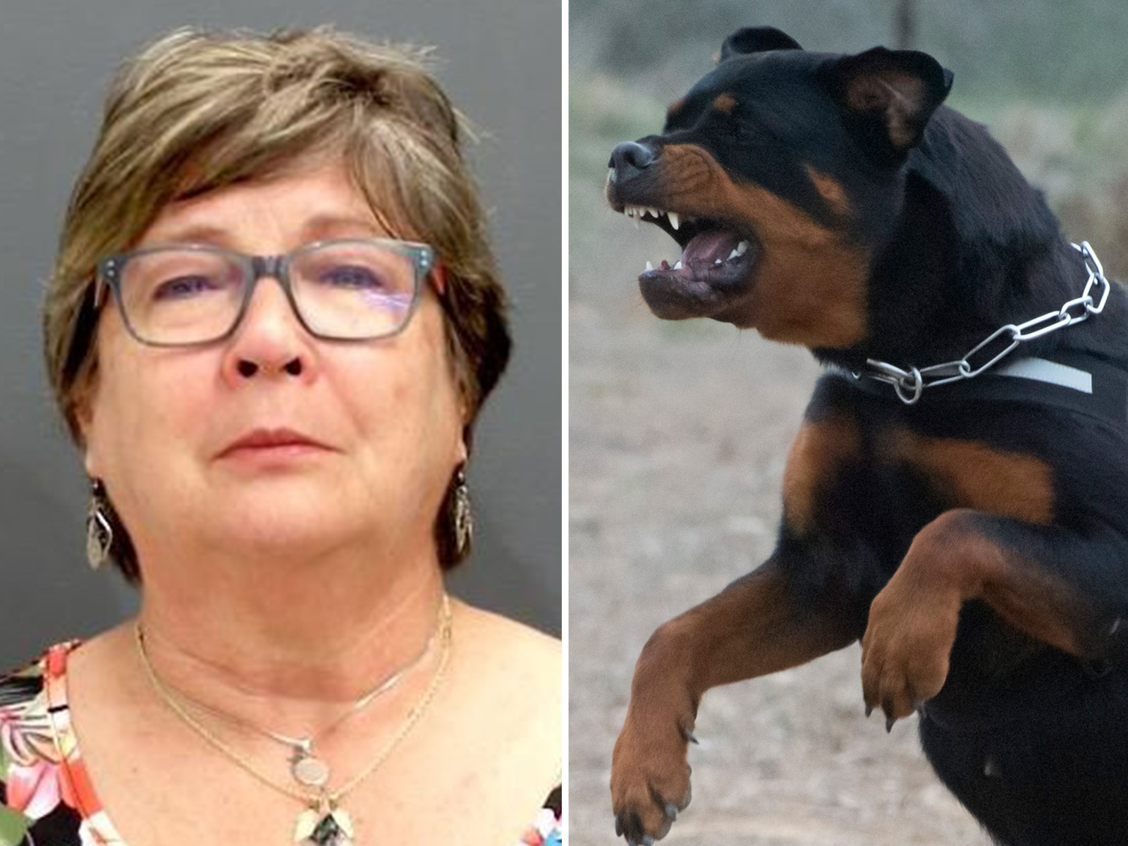 Grandmother of Girl Mauled to Death by Dog Charged With Murder 