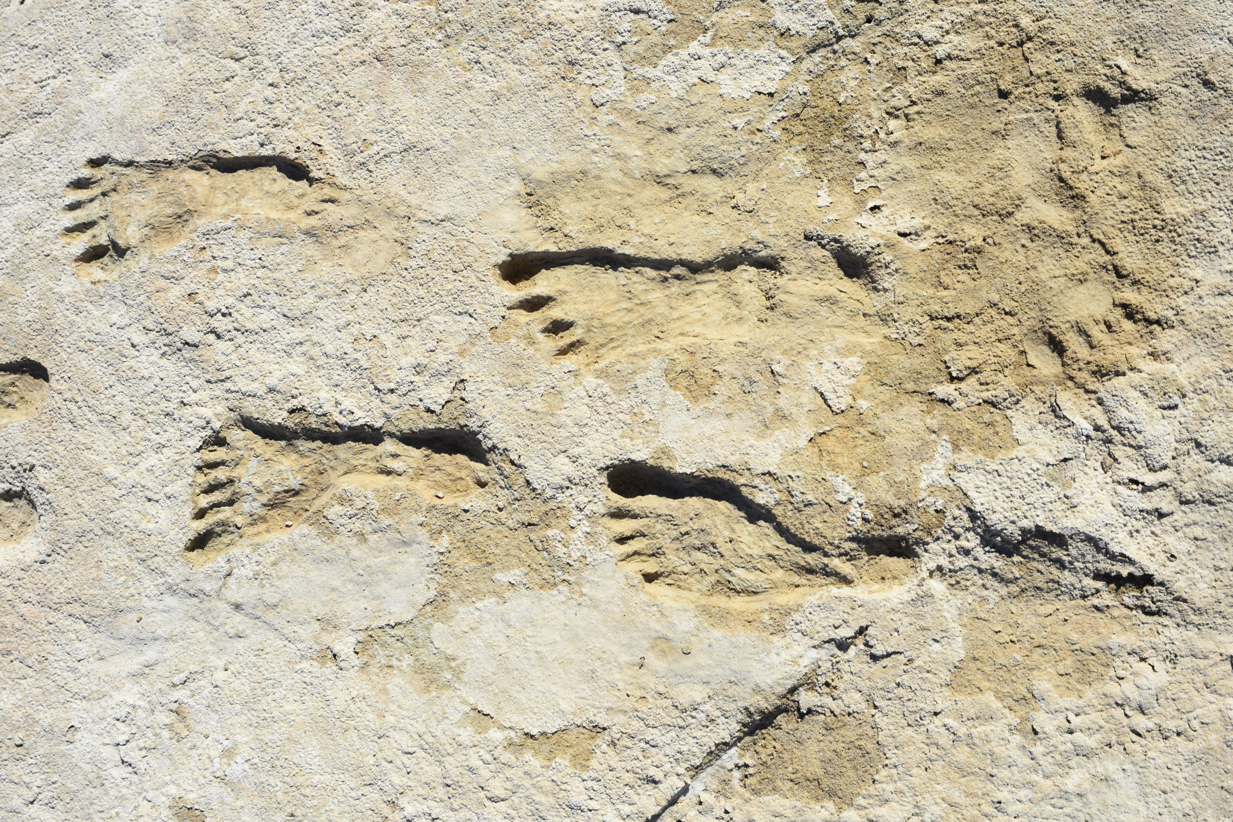 Eerie Ancient Footprints of Adult and Child Walking Together