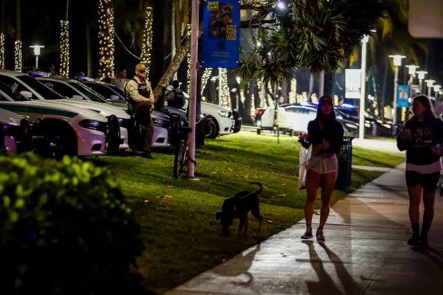 Four Dogs Die After Being Left in Car During Woman’s Lunch Stop: Police ...