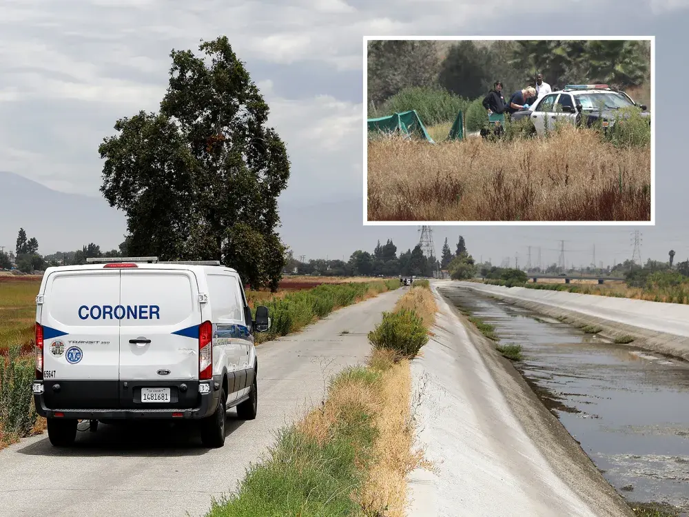 Lightning Strike Kills 52-Year-Old Woman and Her Two Dogs