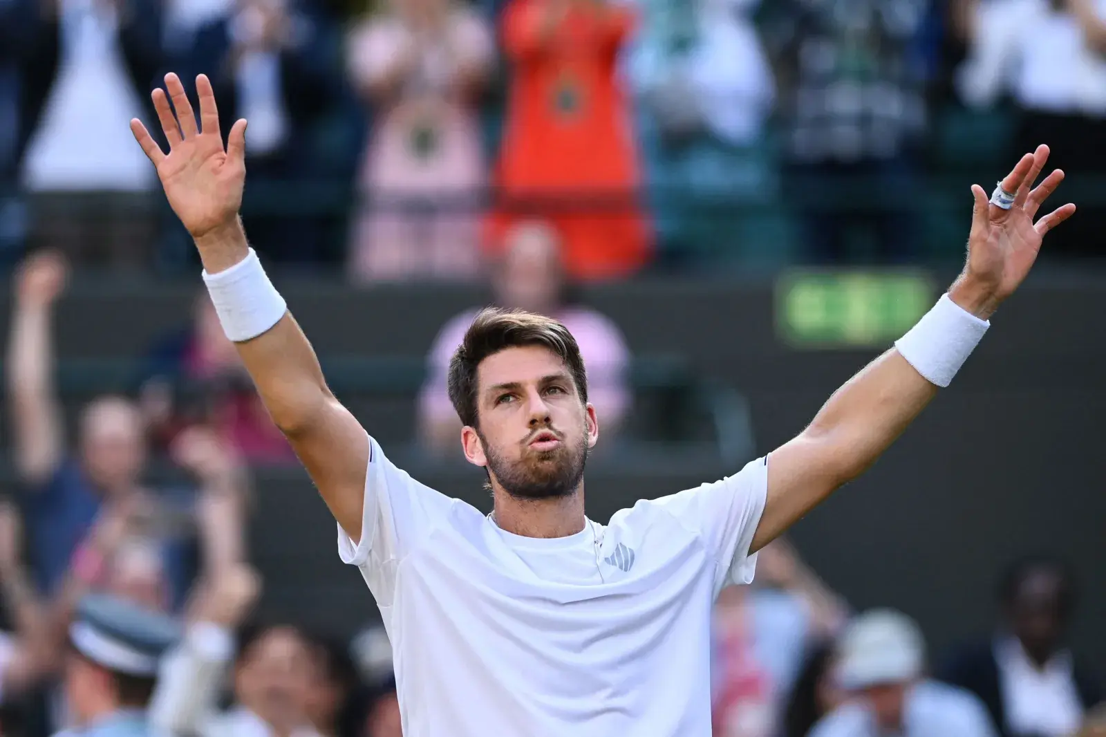Cameron Norrie Wimbledon Quarter Finals