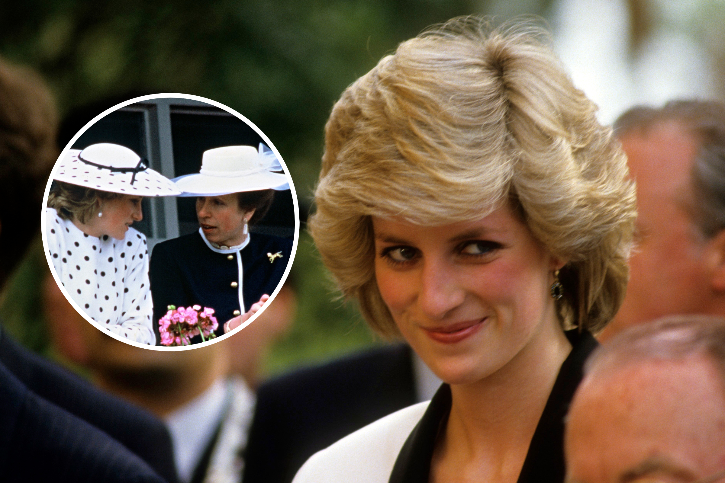 Royal's Curt Response to Princess Diana Question Goes Viral - Newsweek