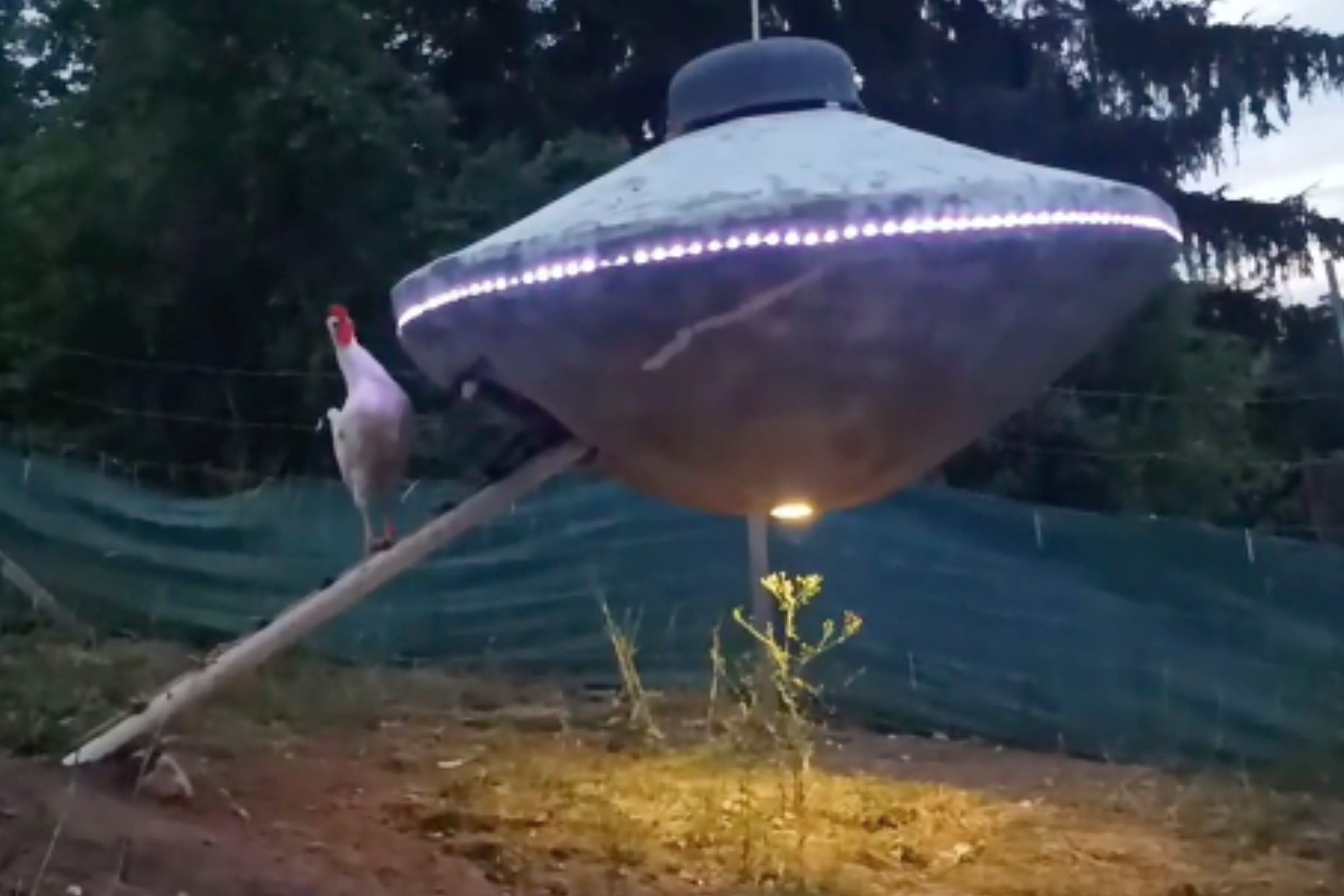 This Guy Built a UFO Shaped Chicken Coop and Posted The Plans UFO 