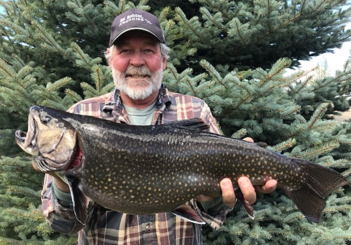 Behemoth Trout With 15 Inch Girth Breaks 75-year Colorado State