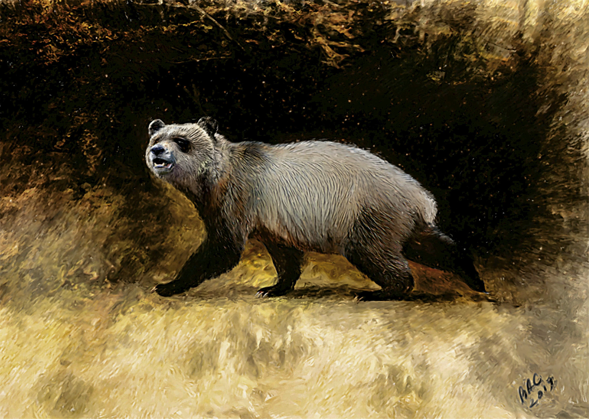Giant Prehistoric Panda Might Have Originated in Eastern Europe