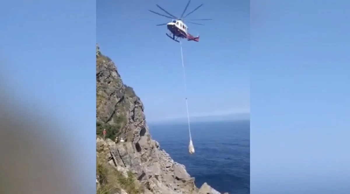 Cow Falls Off Cliff While Grazing, Hoisted to Safety by Helicopter ...