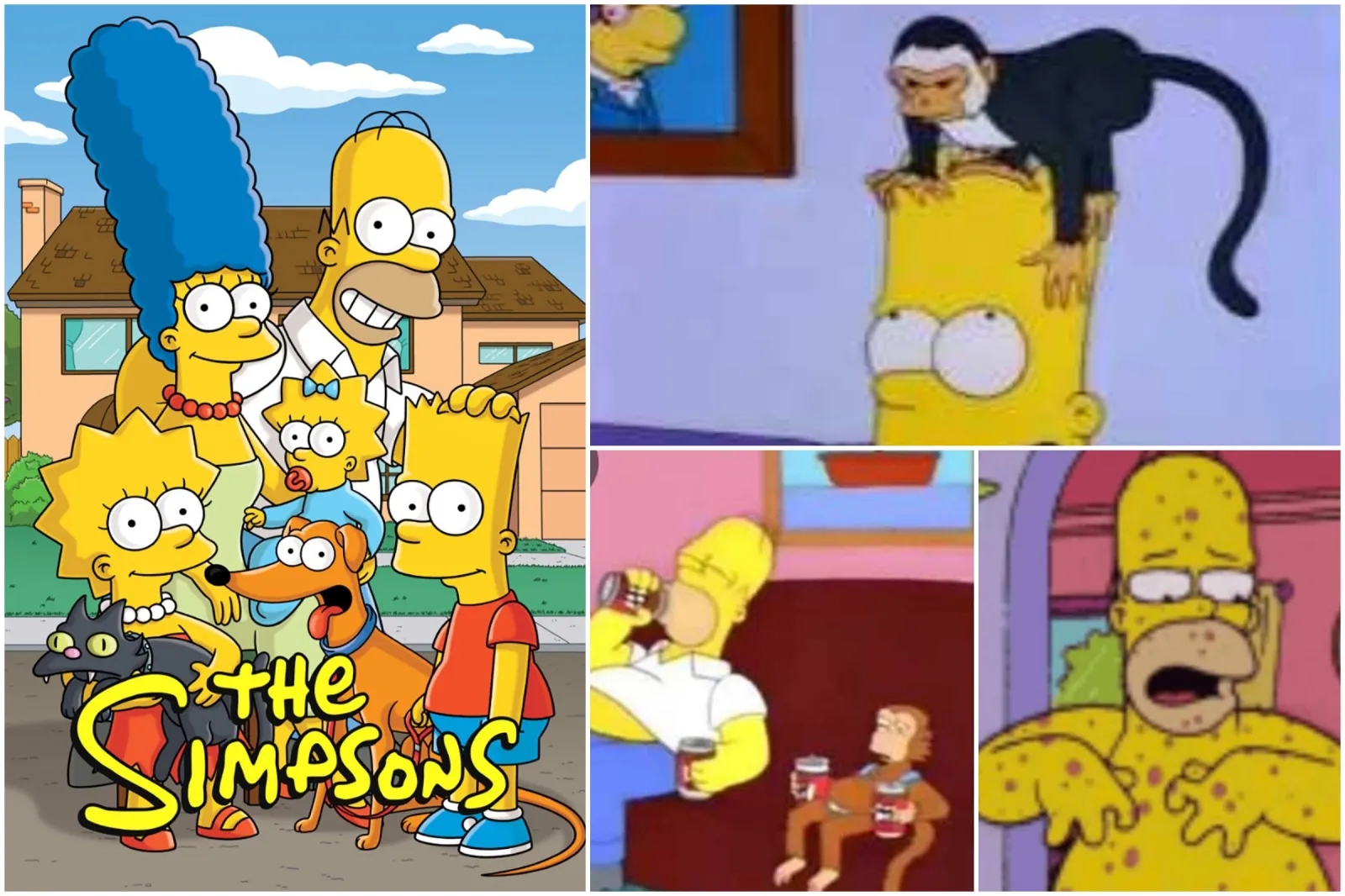 People Think ‘The Simpsons’ Predicted Monkeypox Outbreak - Newsweek