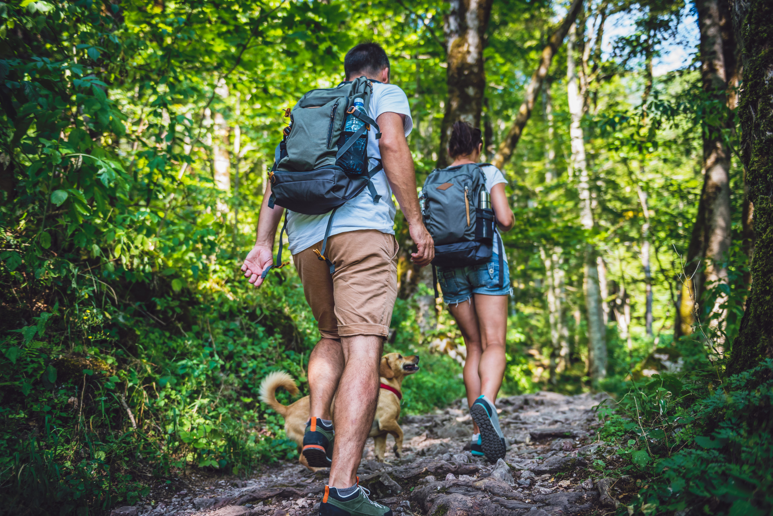 Woman Goes on Hike With BF—What He Does Has Her Devastated: ‘Unacceptable’