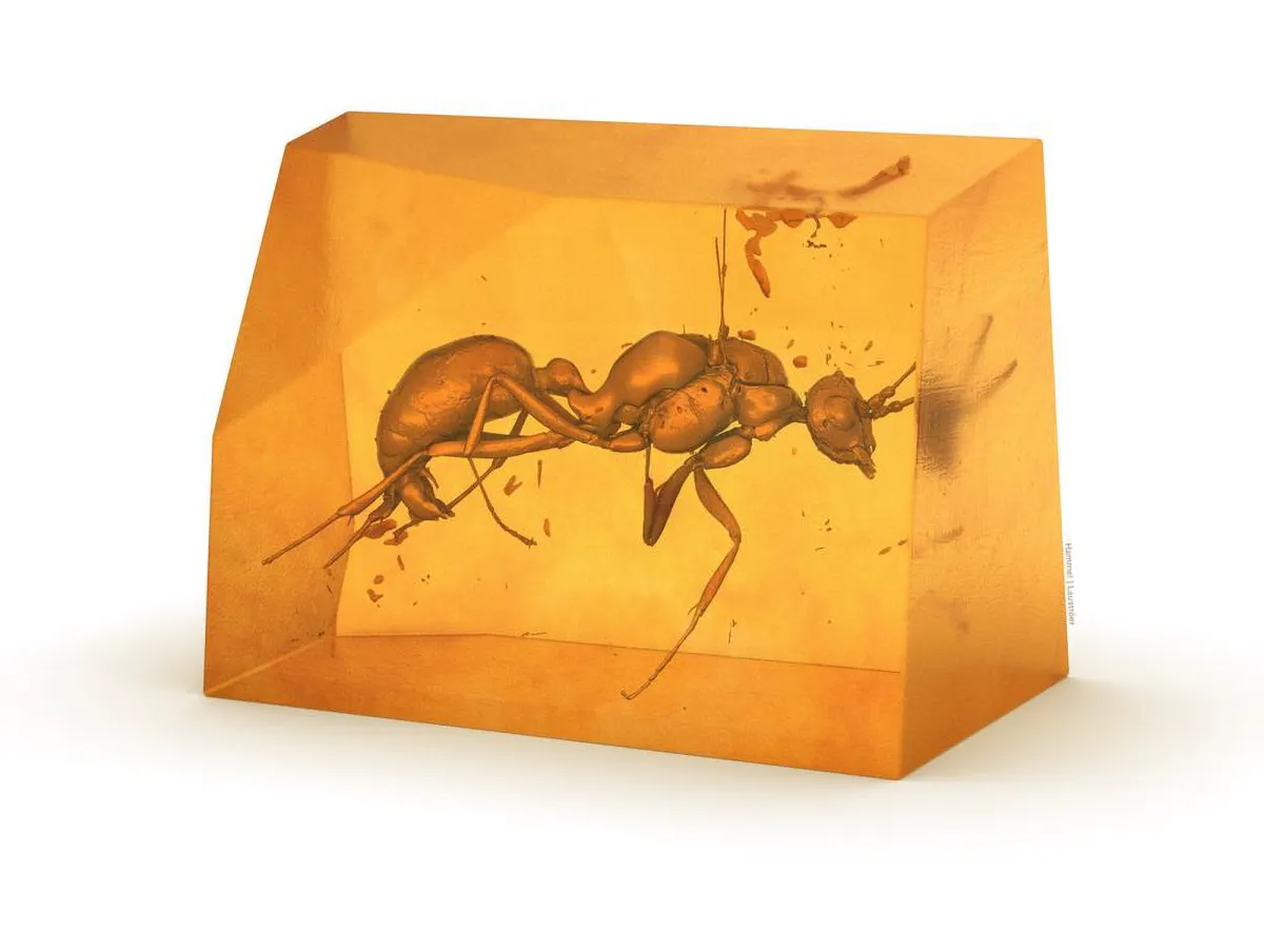 Scientists Discover 20-Million-Year-Old Ant Species in Amber - Newsweek