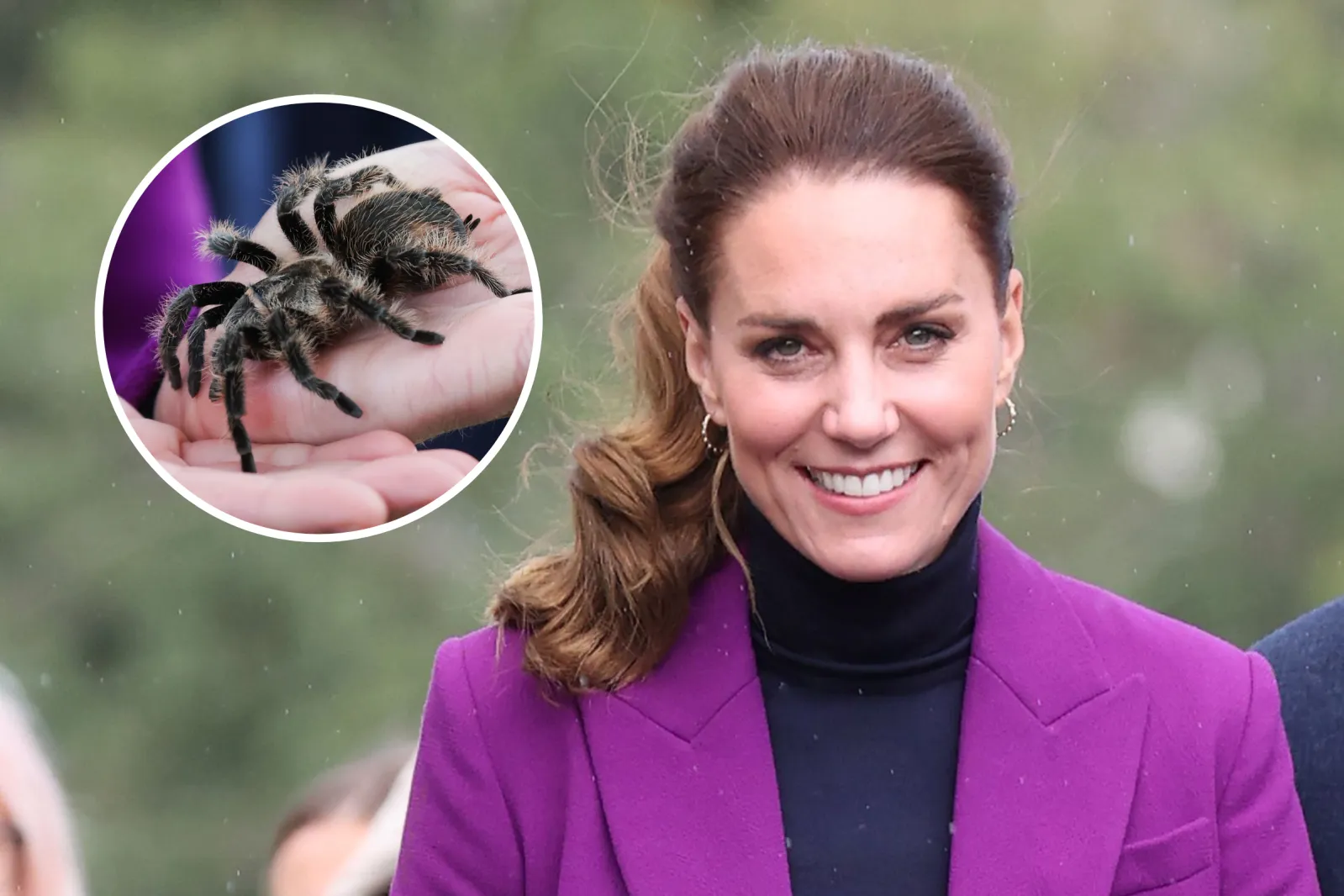 Kate With Insect Kate Middleton’s ‘Courageous’ Interaction With Tarantula Goes Viral ...