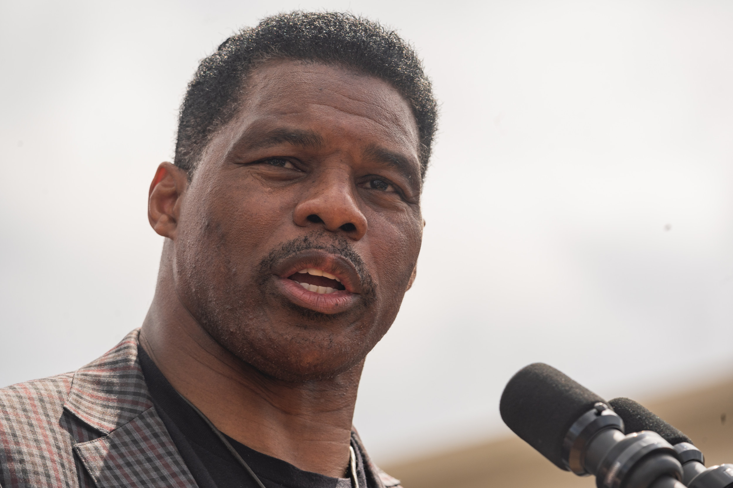 Dana Loesch Doesn't Care If Herschel Walker Paid 'Skank' for