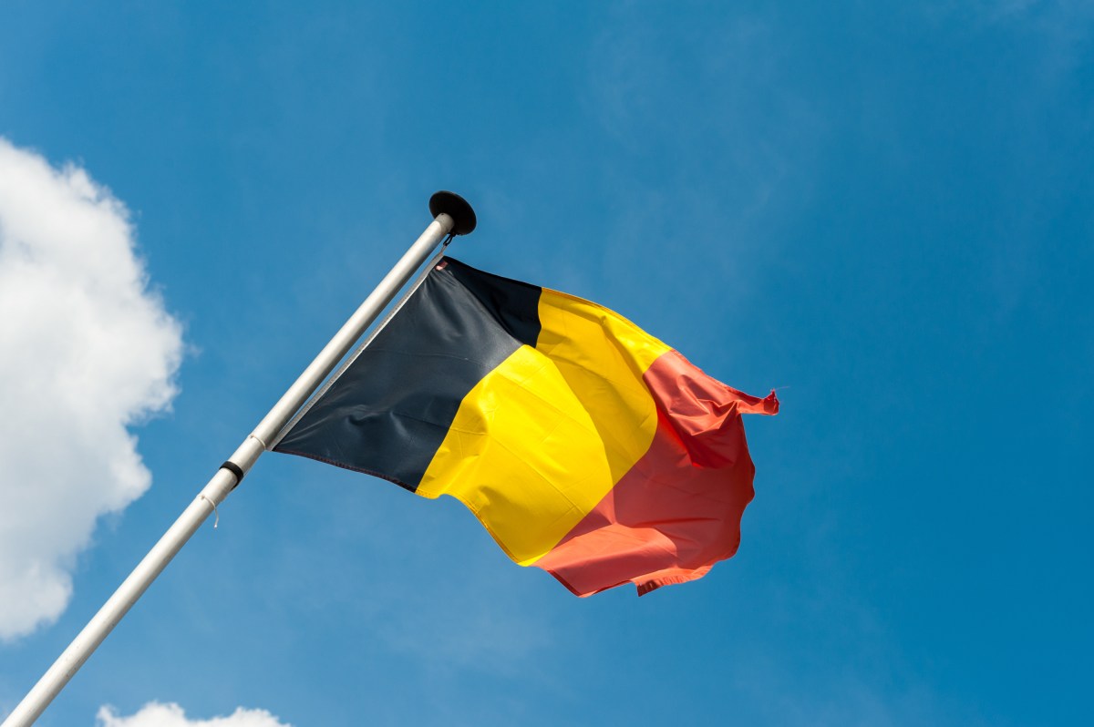 Europe's Top Human Rights Court Criticizes Belgium in Euthanasia Case