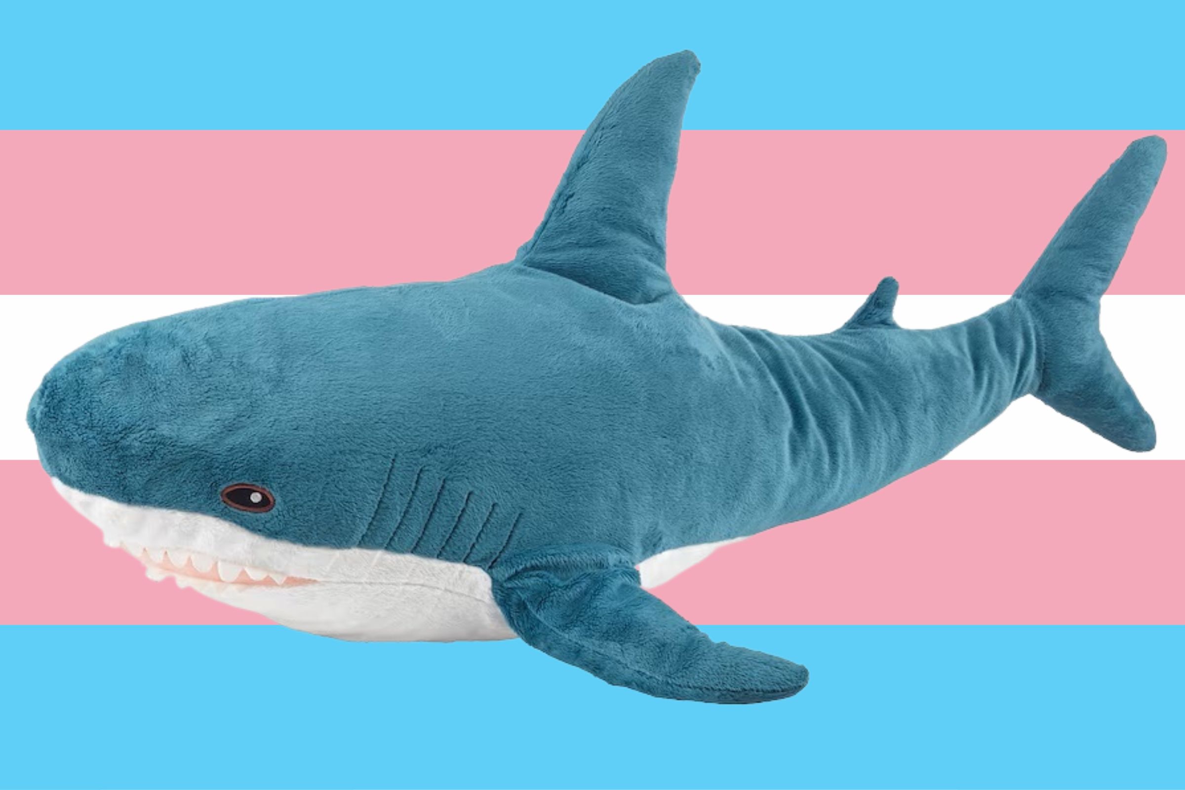 How the IKEA Shark Became a Trans Icon - Newsweek