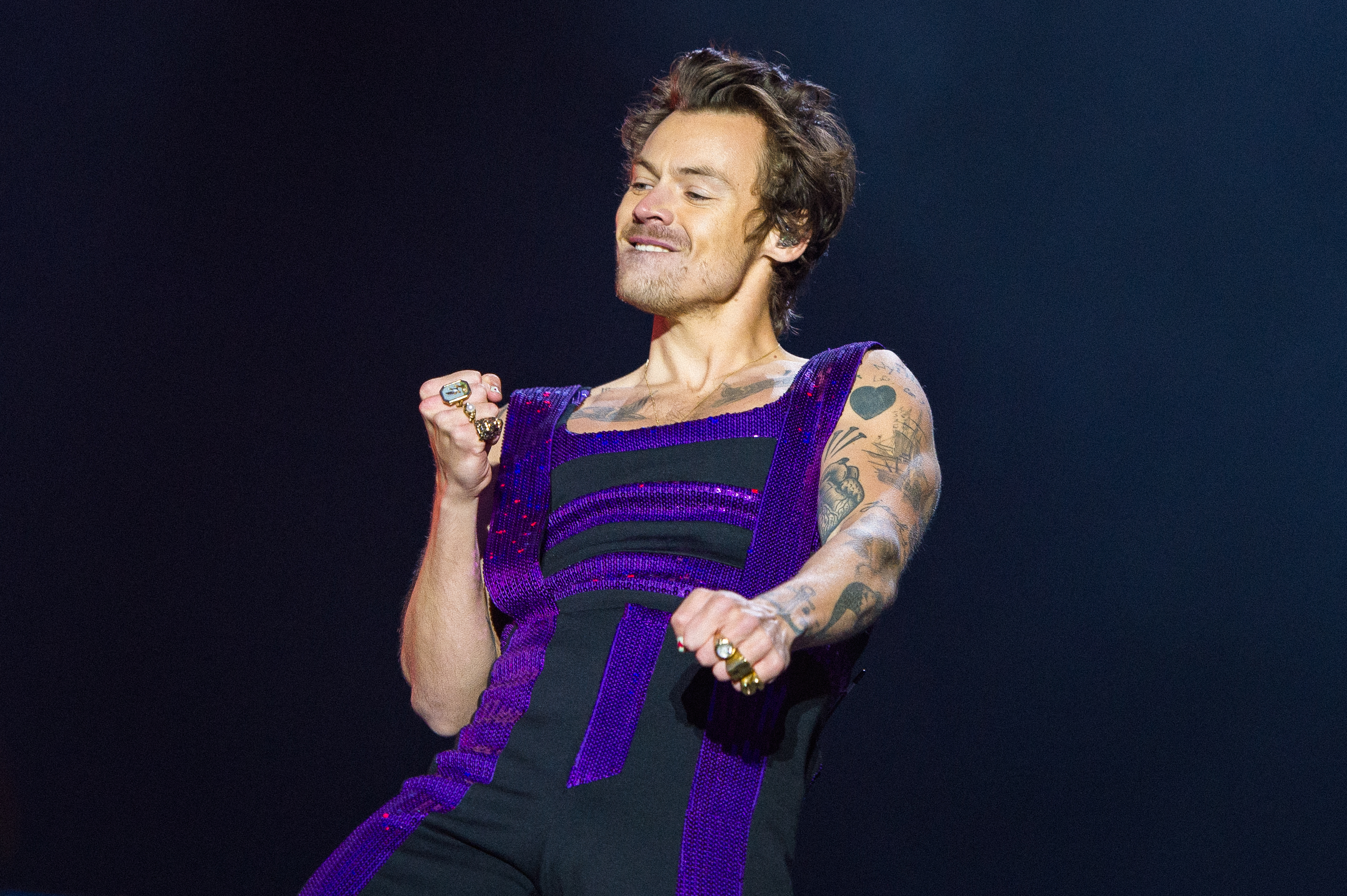 Harry Styles Fans Are Bringing Bizarre Signs to His Tour: 'Skipped