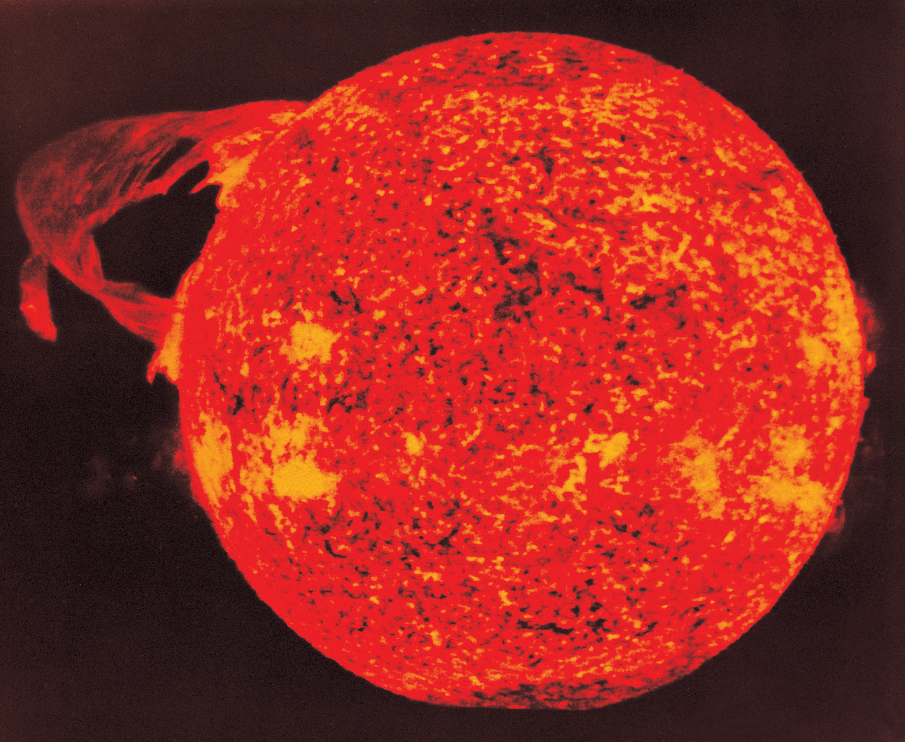 紅はるか　sun sun It's Alive': Sunspot Explodes Creating Huge Solar Flare, Radio