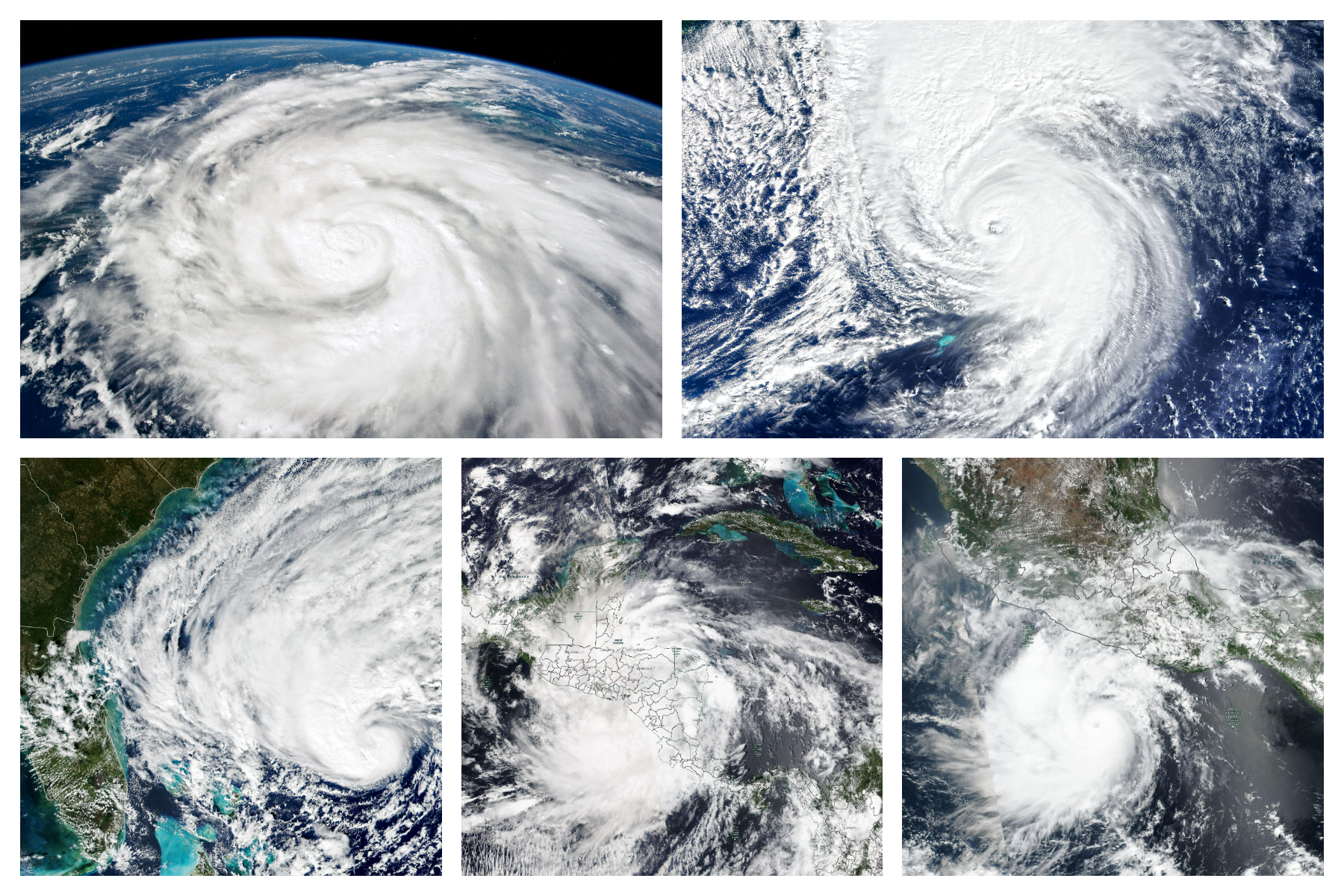 From Ian to Nicole: The Five Worst Hurricanes of 2022 So Far