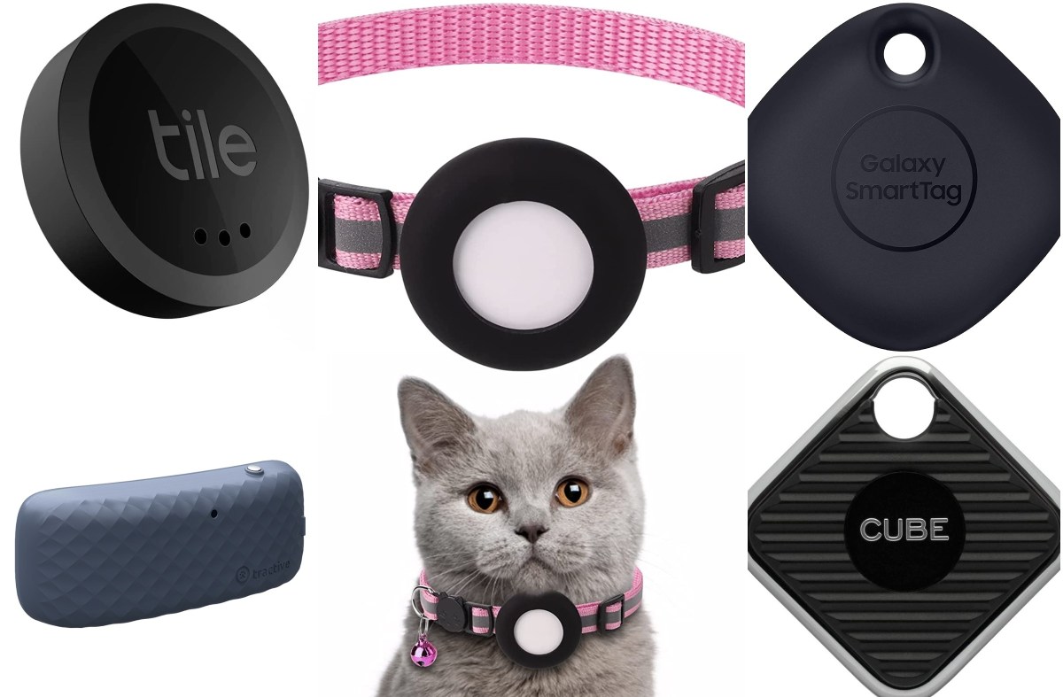 How To Track Your Cat’s Whereabouts All Day - Newsweek