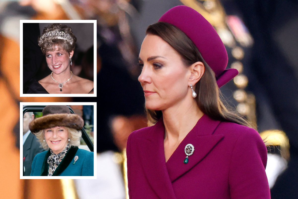 Kate Middleton's Brooch Once Ignited Princess Diana, Camilla Backlash - Newsweek