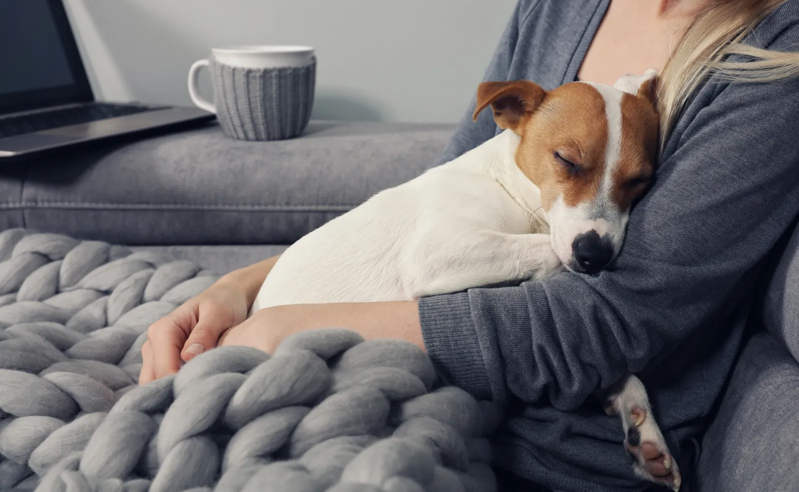 Rescue Dog Sneakily Reveals His ‘Favorite Human’ in Hilarious Video ...