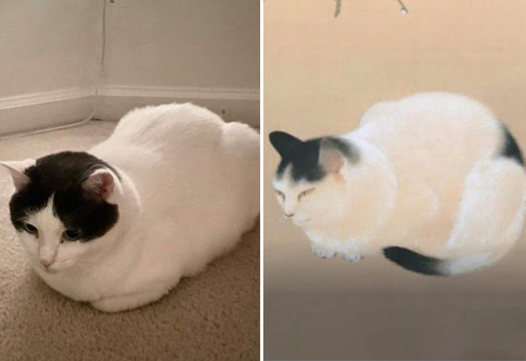 cat personページ 6121.jpg