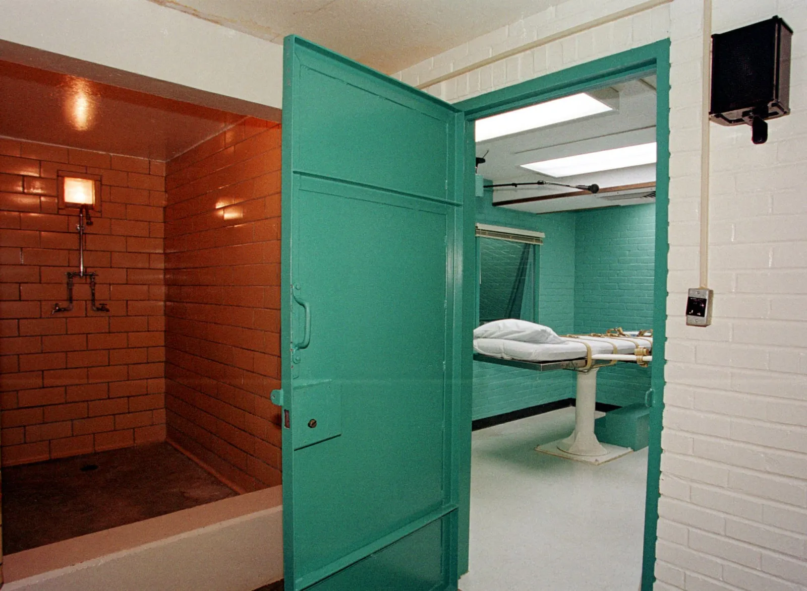 Lethal Injections Are to Blame for Over 100 Botched Executions in ...