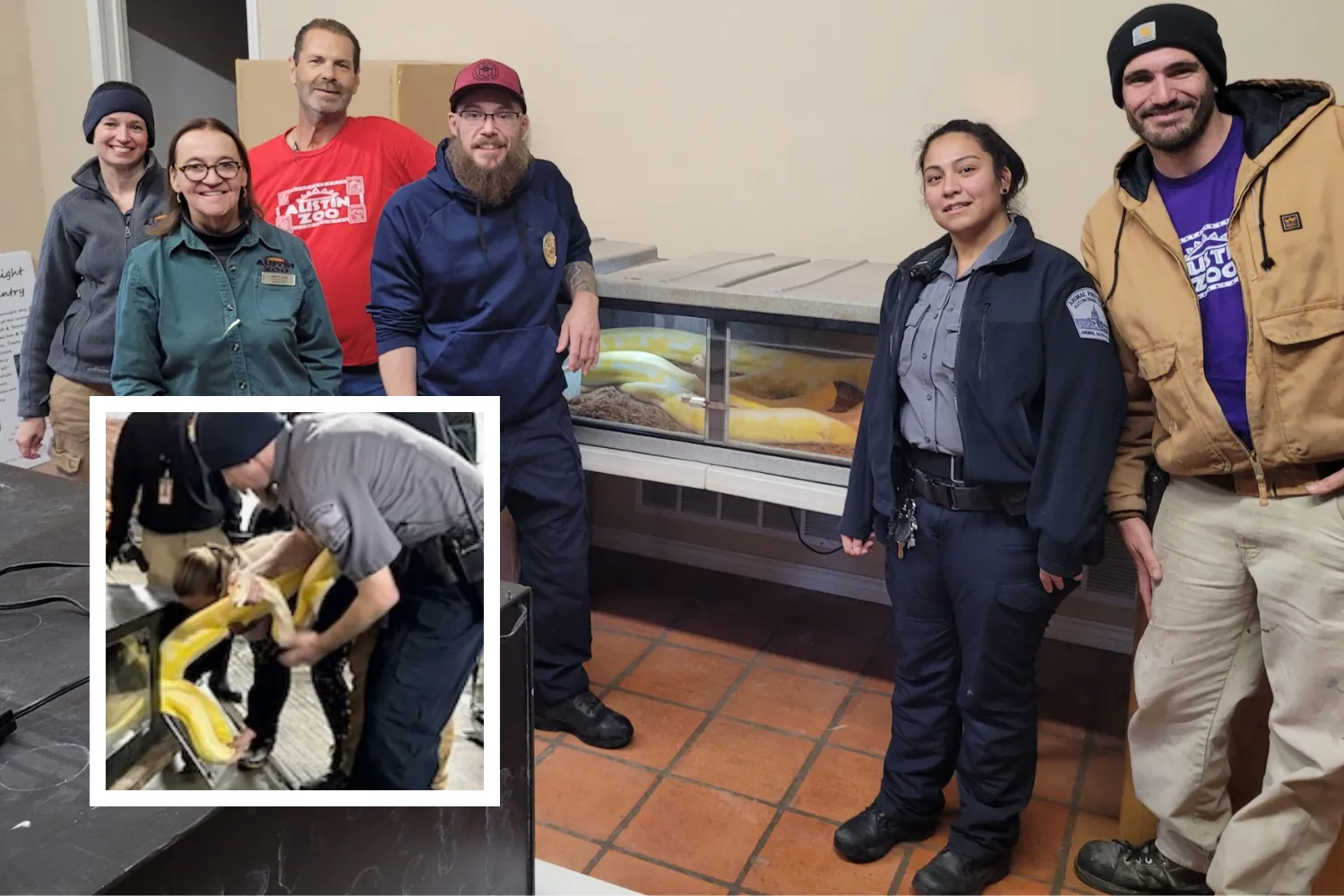 Giant 16ft Python Reunited With Owner After Being Missing Since July ...