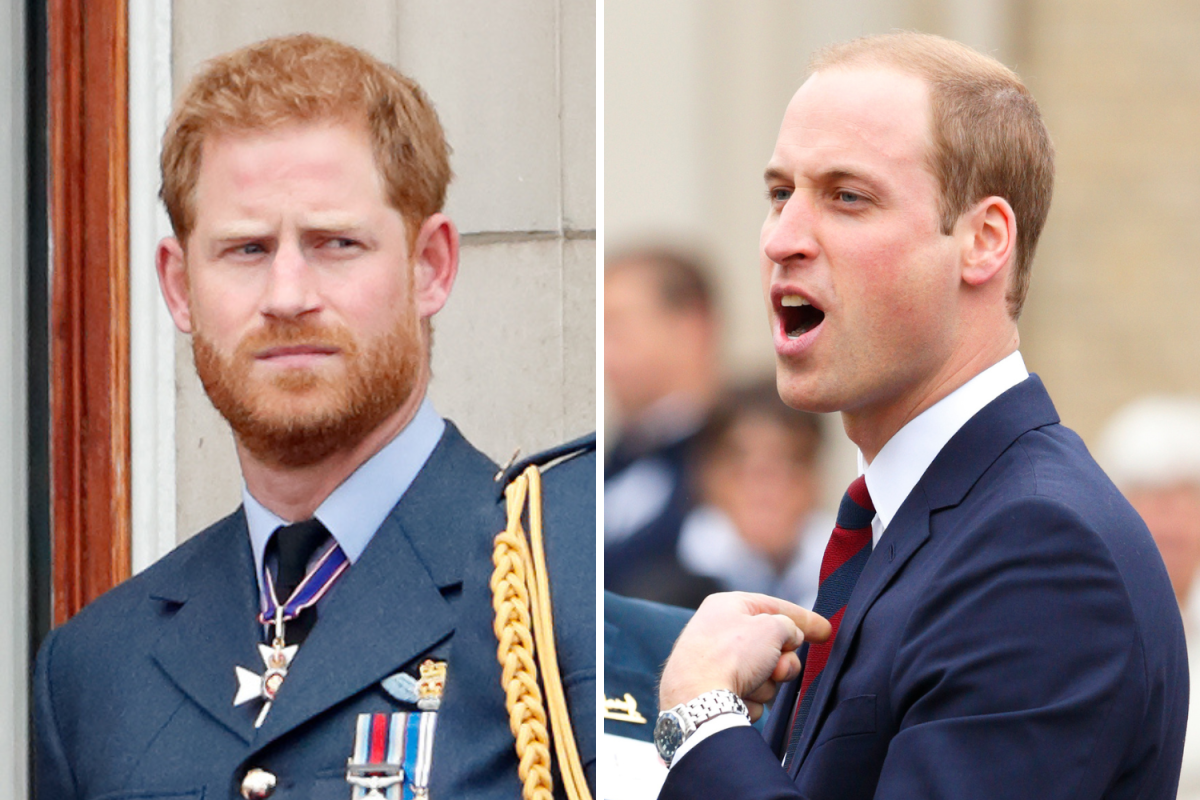 Prince Harry Describes Prince William's Violent 'Red Mist' in New Clip -  Newsweek