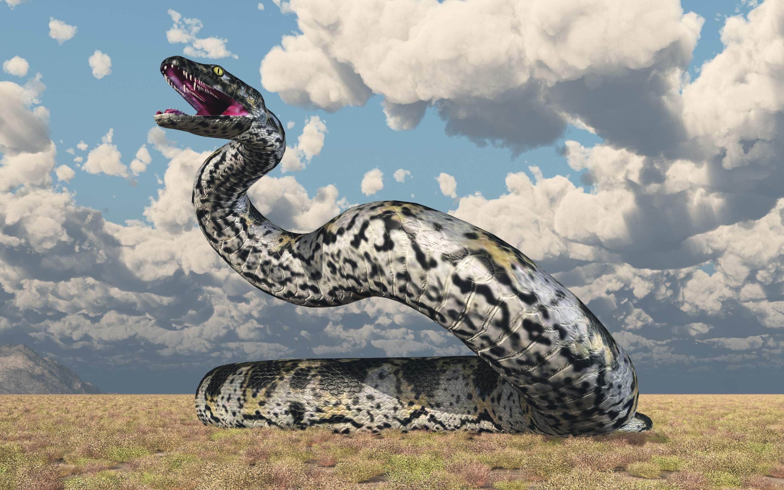 What Is A Titanoboa? What We Know About Largest Known Snake To Ever Exist
