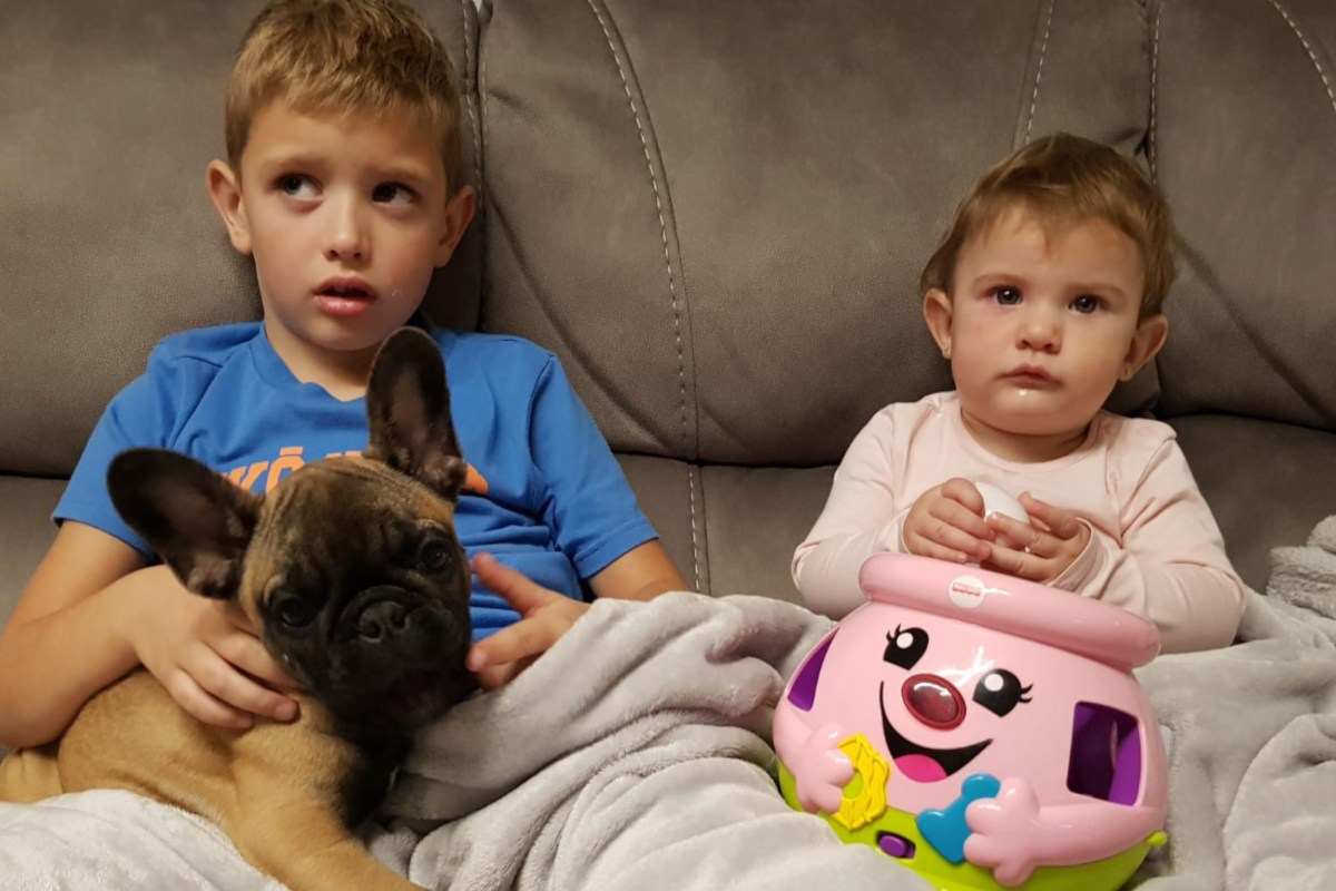 "Our dog changed our lives for the better, then tragedy struck"