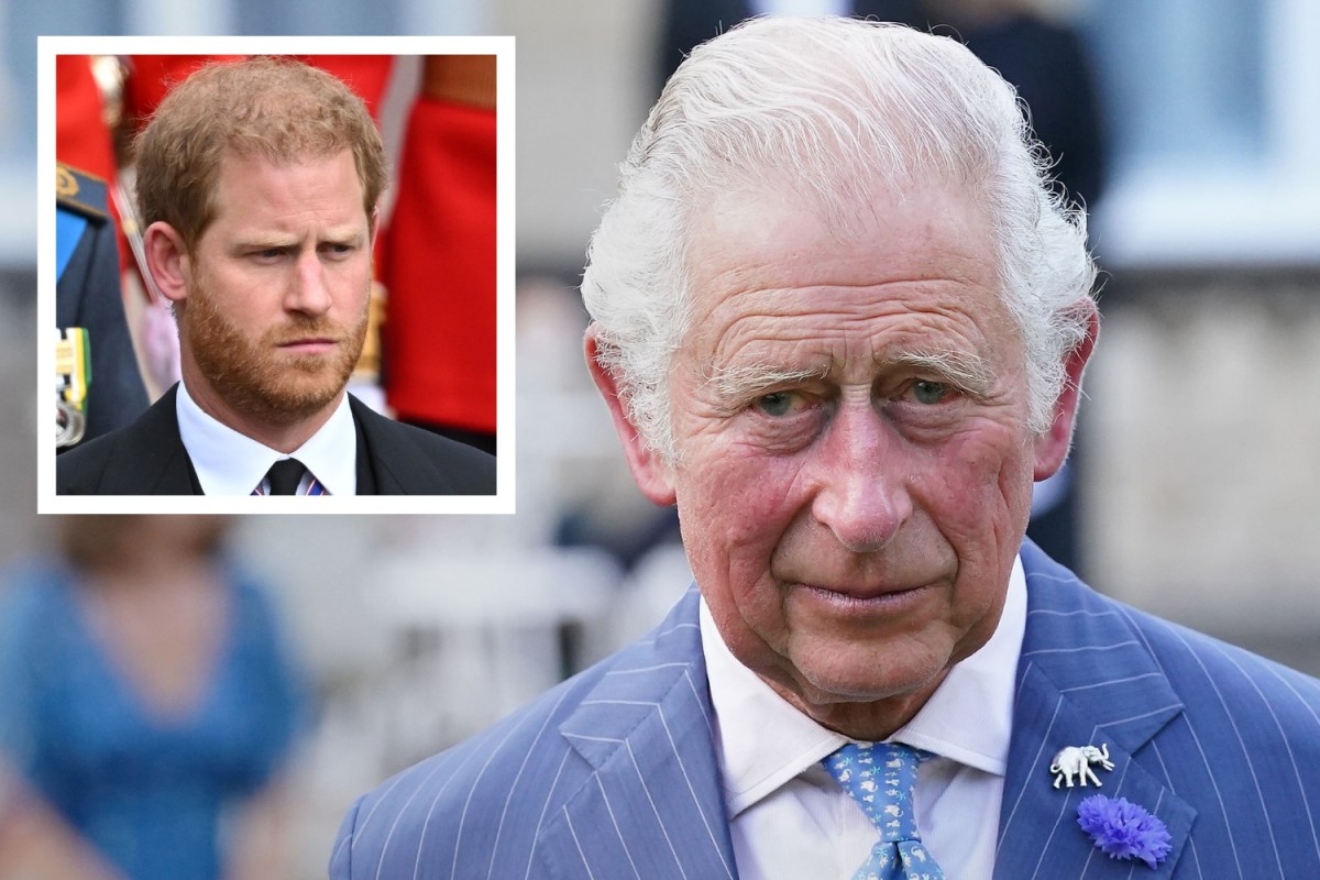 King Charles Gives Awkward Response When Asked to 'Bring Back' Prince Harry - Newsweek
