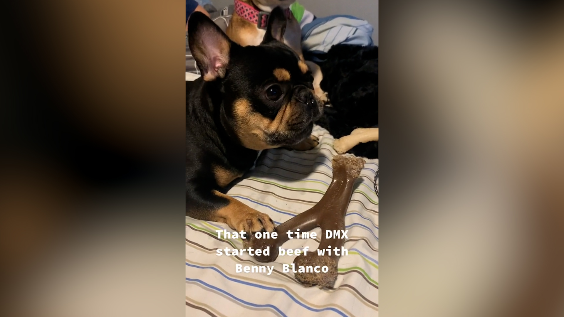 EP of DMX's 'Prayer' tracks released as he is reportedly near death | FOX 5  New York, image size:1920x1080