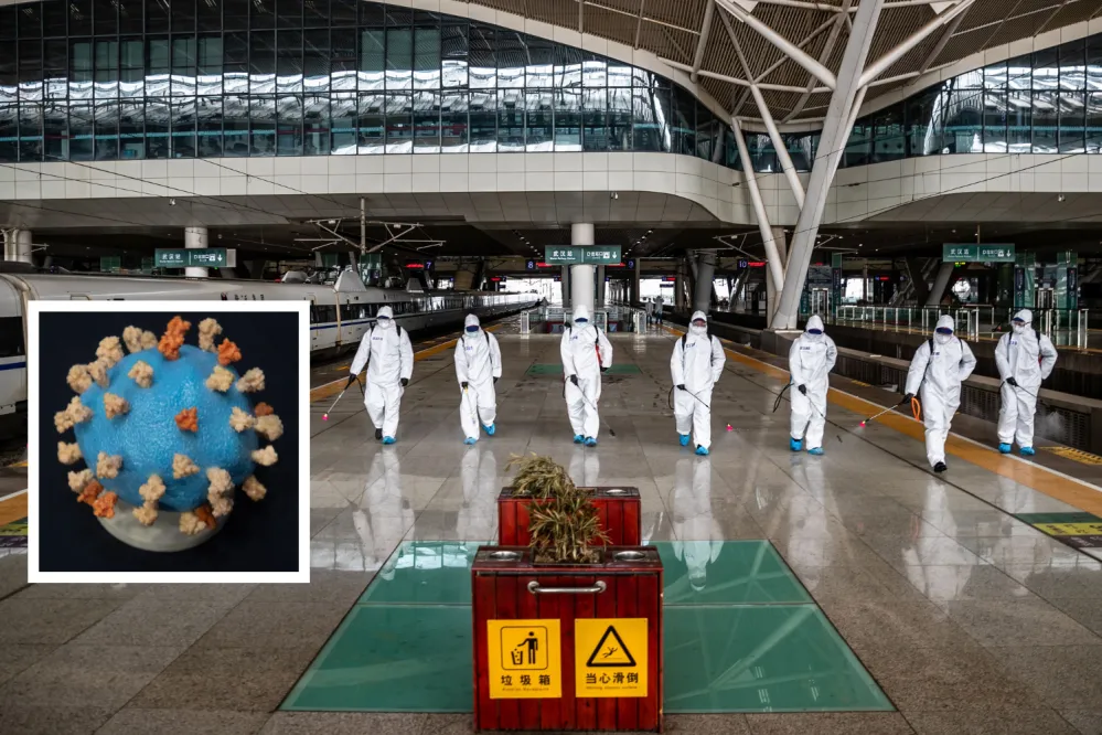 ‘Huge Problem’ Lab Leak Theory Was Dismissed as Conspiracy: Ex-WHO ...