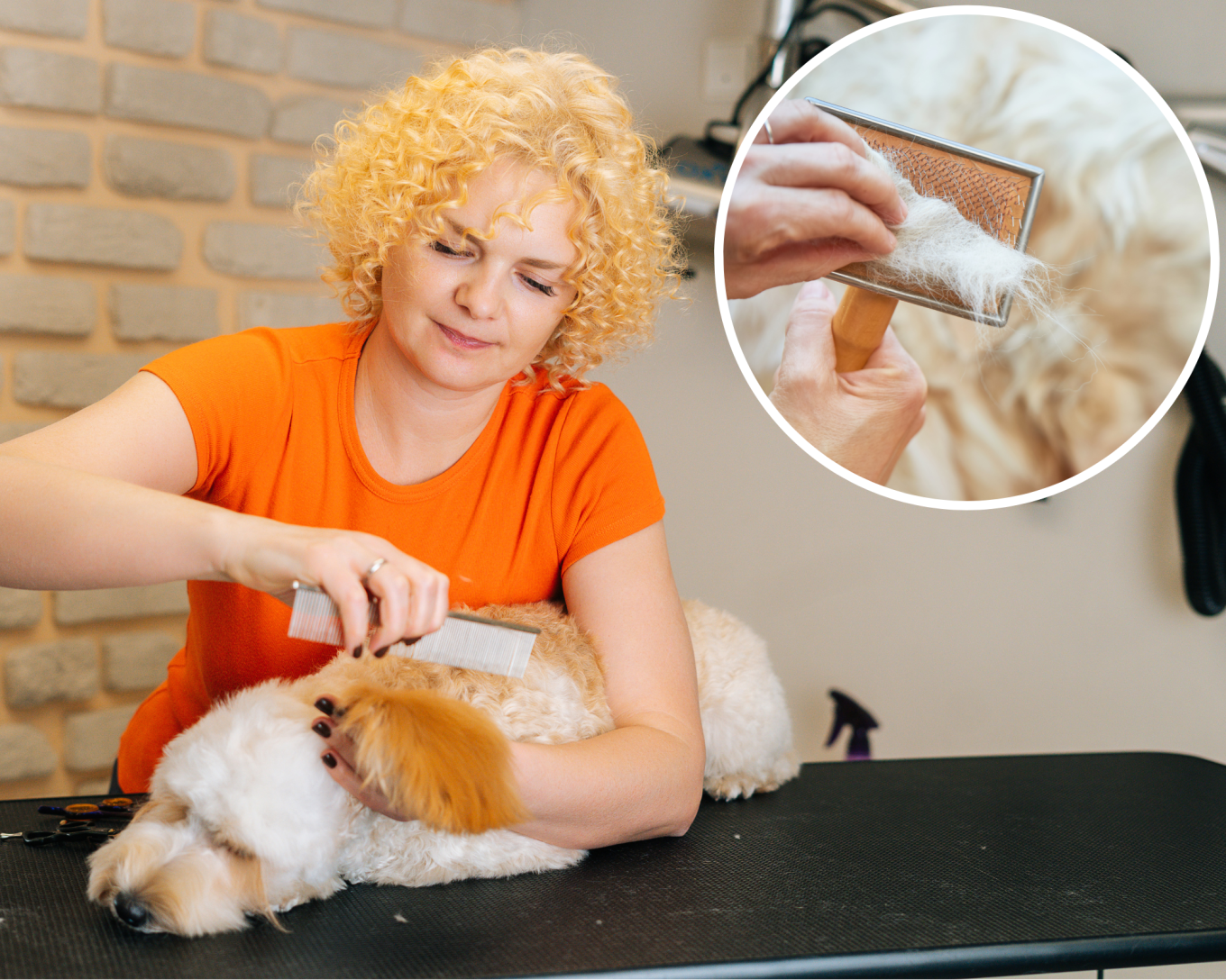 How to Line Brush Double Coat Dogs Section by Section: Expert Tips