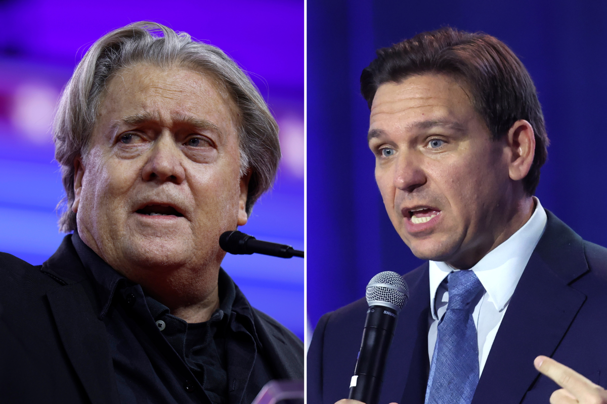 Steve Bannon Declares Ron DeSantis ‘Controlled Opposition’ - Newsweek
