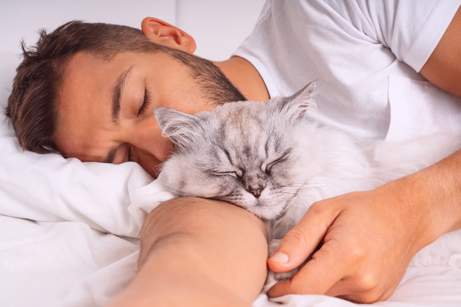 https://assets.newsweek.com/wp-content/uploads/2025/08/2217511-sleeping-man-cuddling-sleeping-cat.jpg?quality=80&w=1600&webp=1
