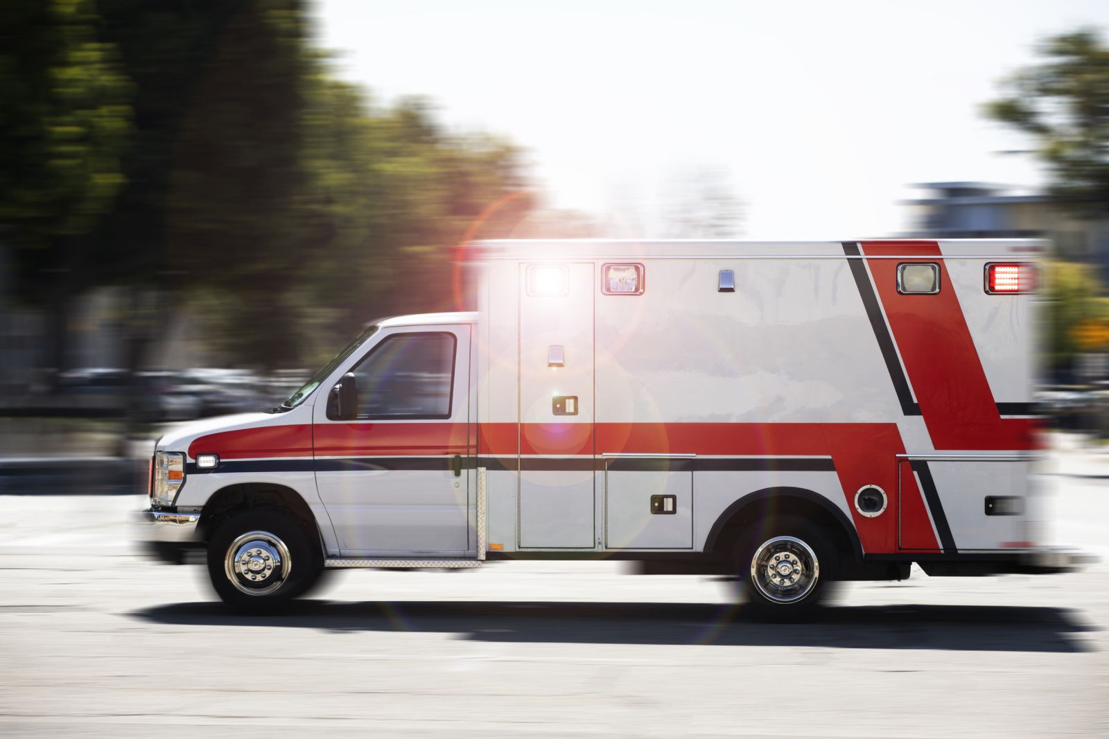 Toddler Mauled to Death by Dog in Maryland - Newsweek